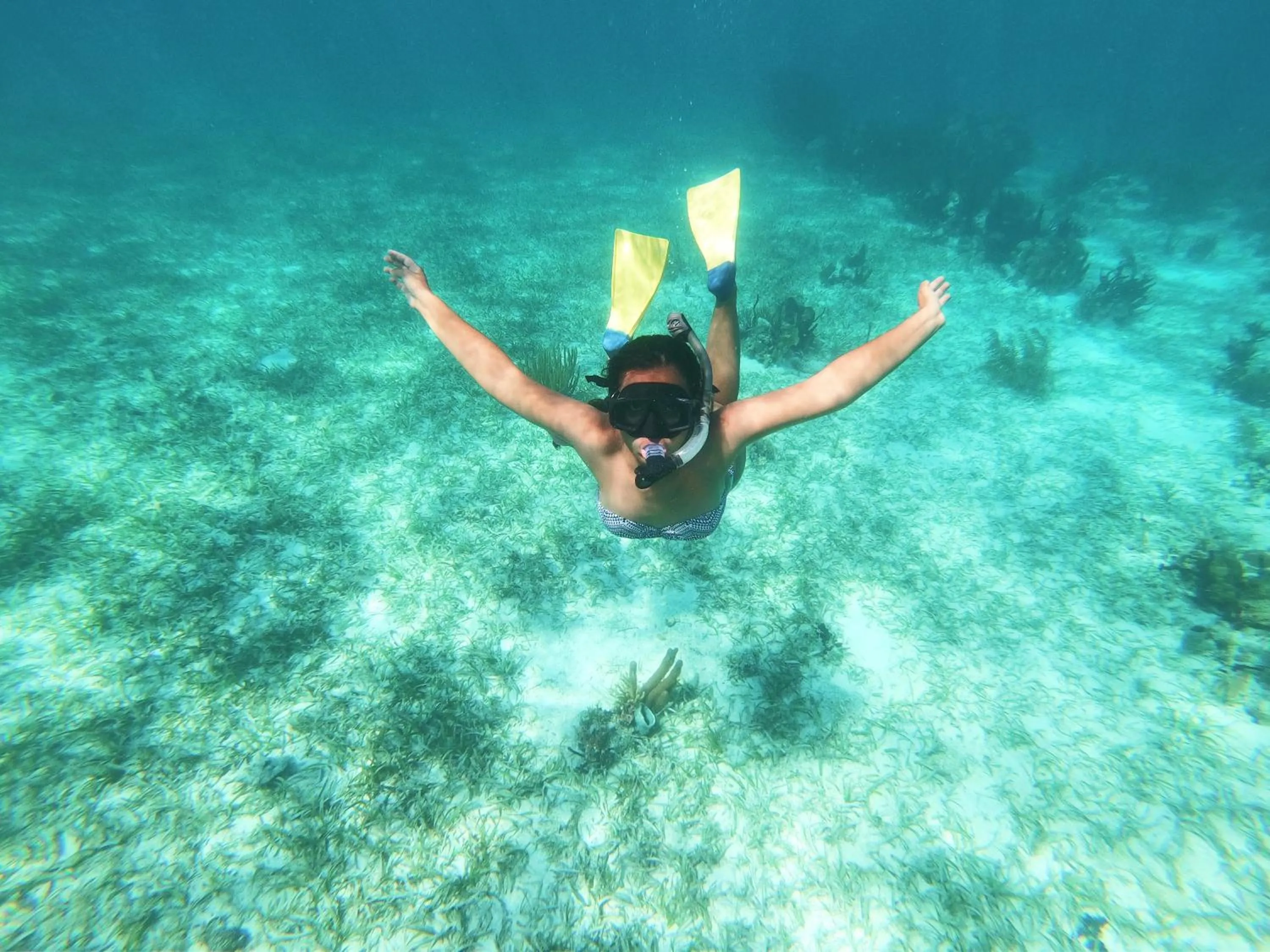 Blue Marlin Beach Resort