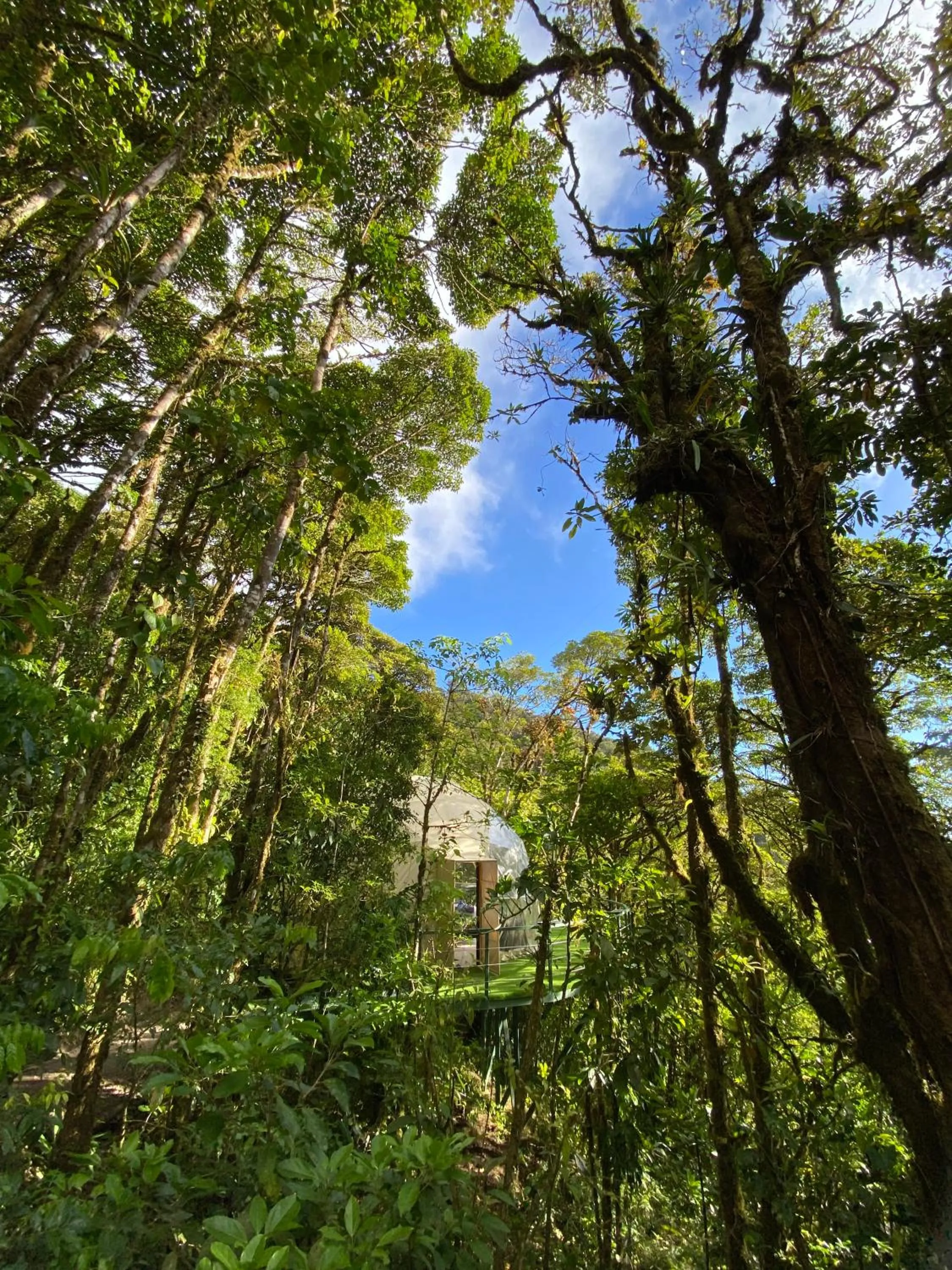 Natural landscape in Way To Heaven Glamping