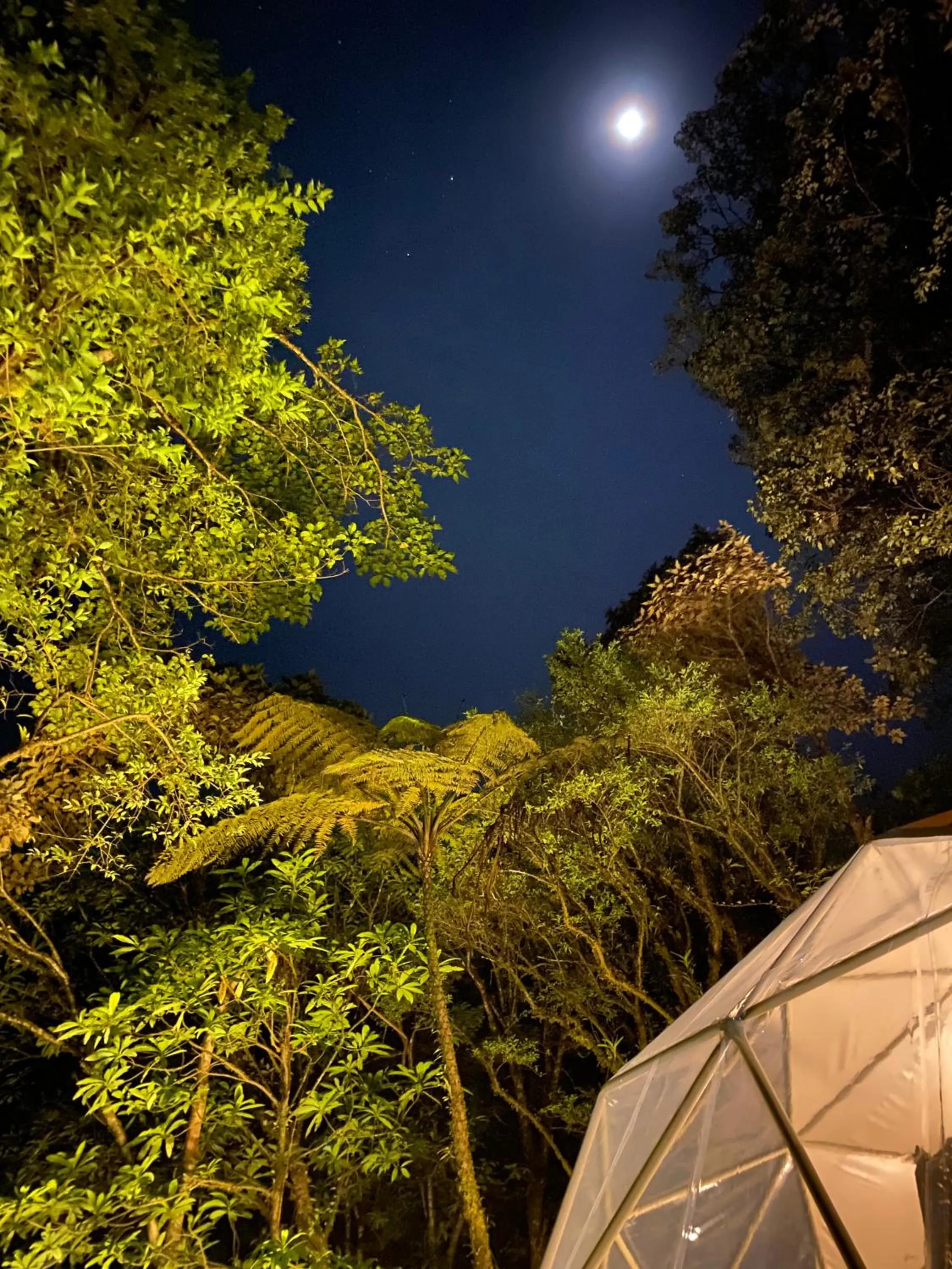 Natural landscape in Way To Heaven Glamping