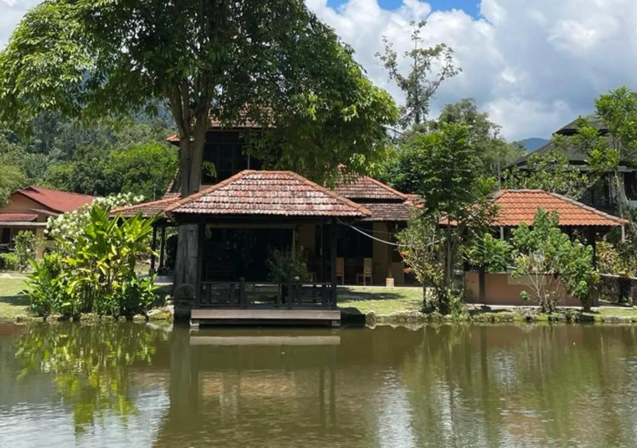 View (from property/room) in Al Sakinah Resort
