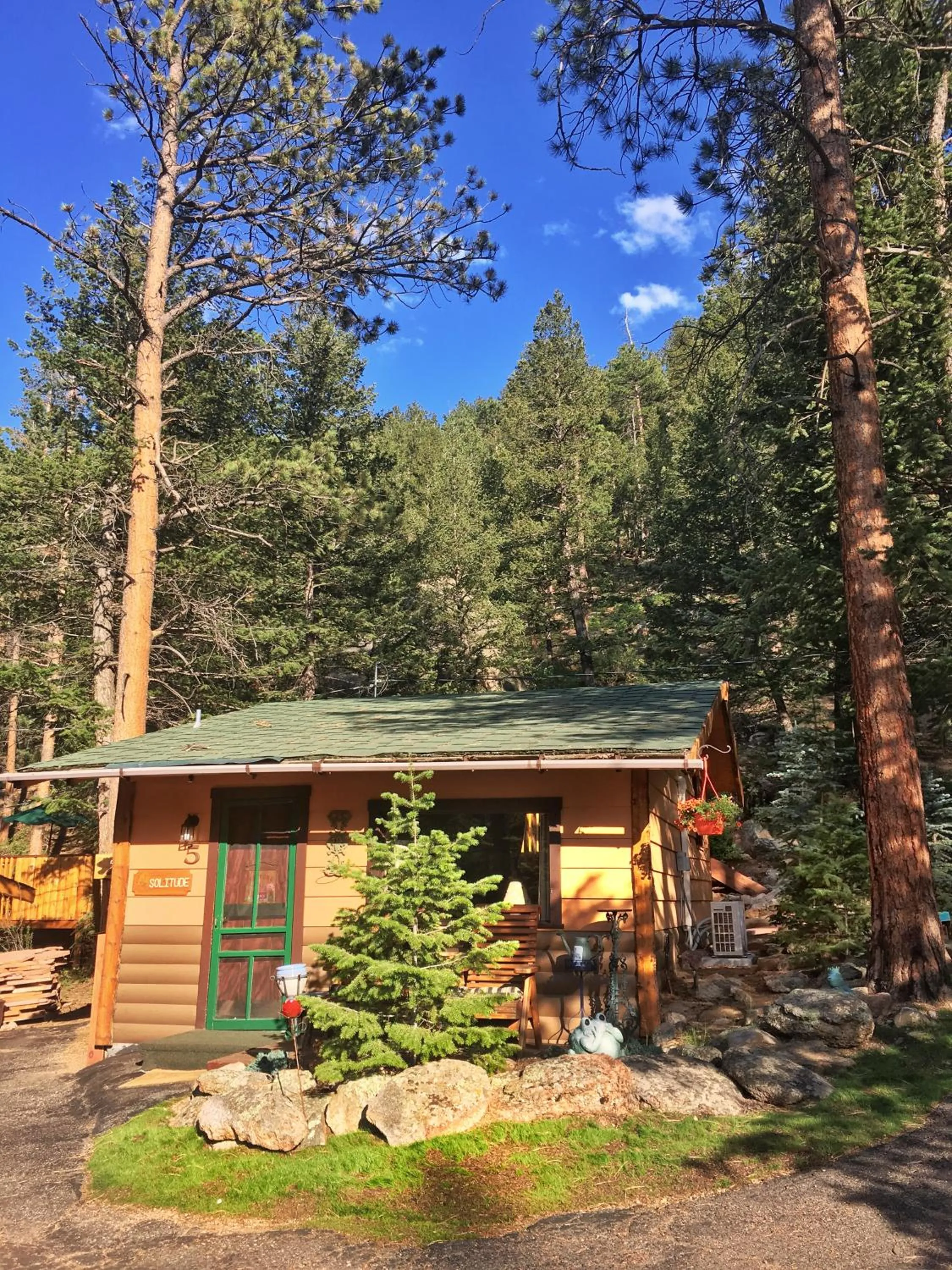 Photo of the whole room in Pine Haven Resort