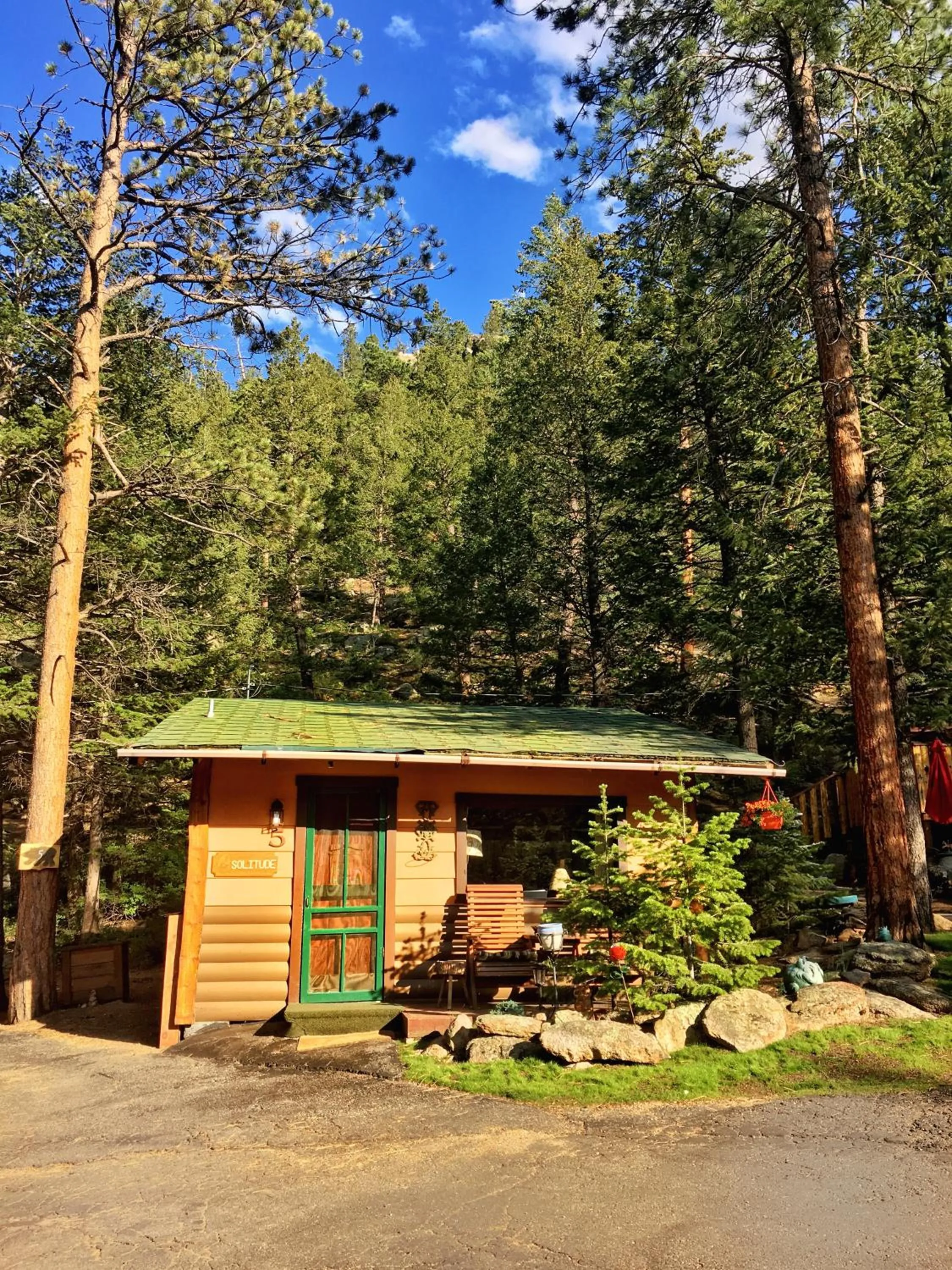 Photo of the whole room in Pine Haven Resort