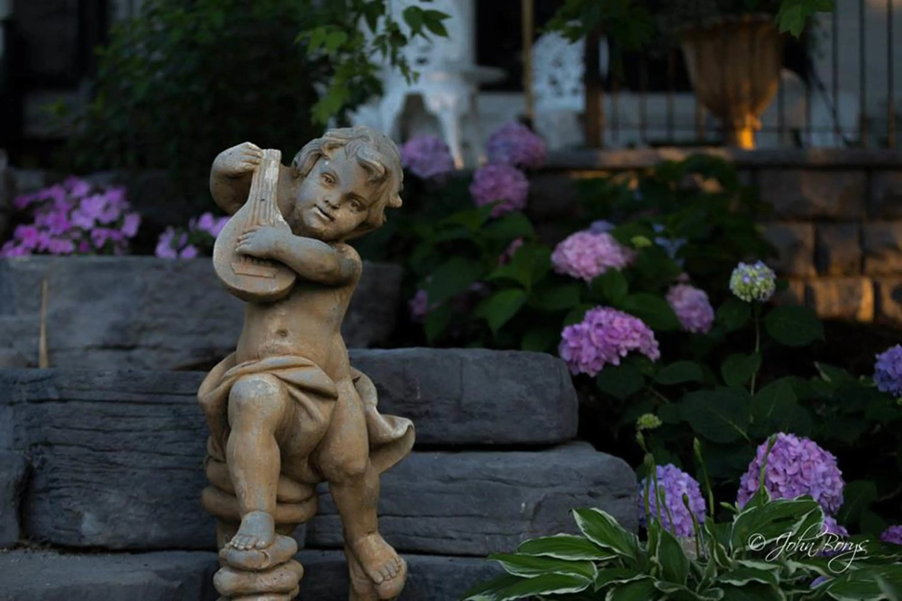 Garden in Maxwell Mansion Hotel