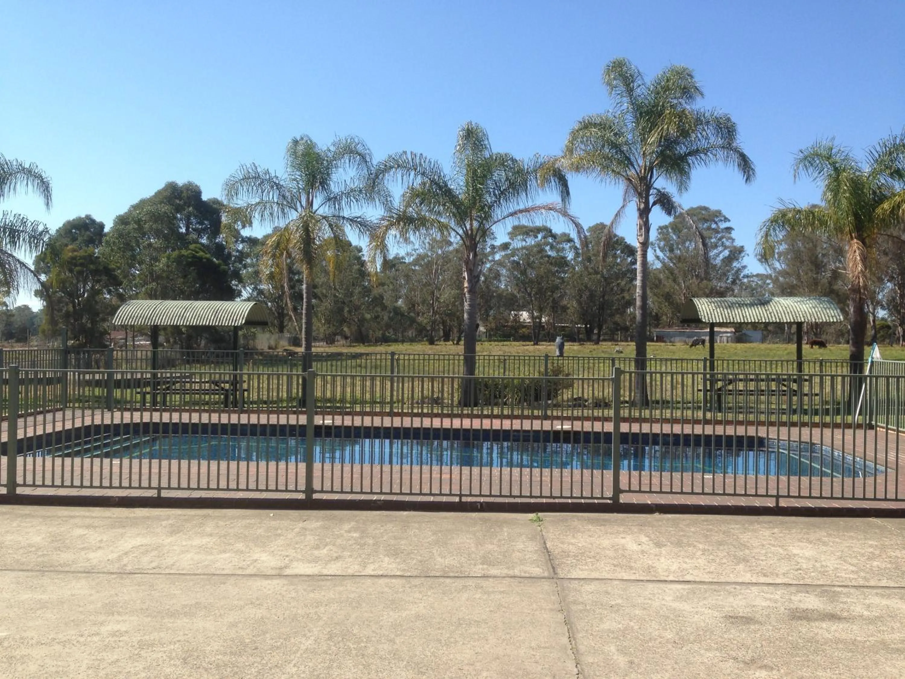 Swimming pool in Alexander The Great Motel