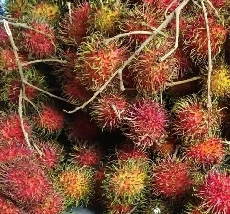 By The Sea Deluxe Condo @ Batu Ferringhi Penang