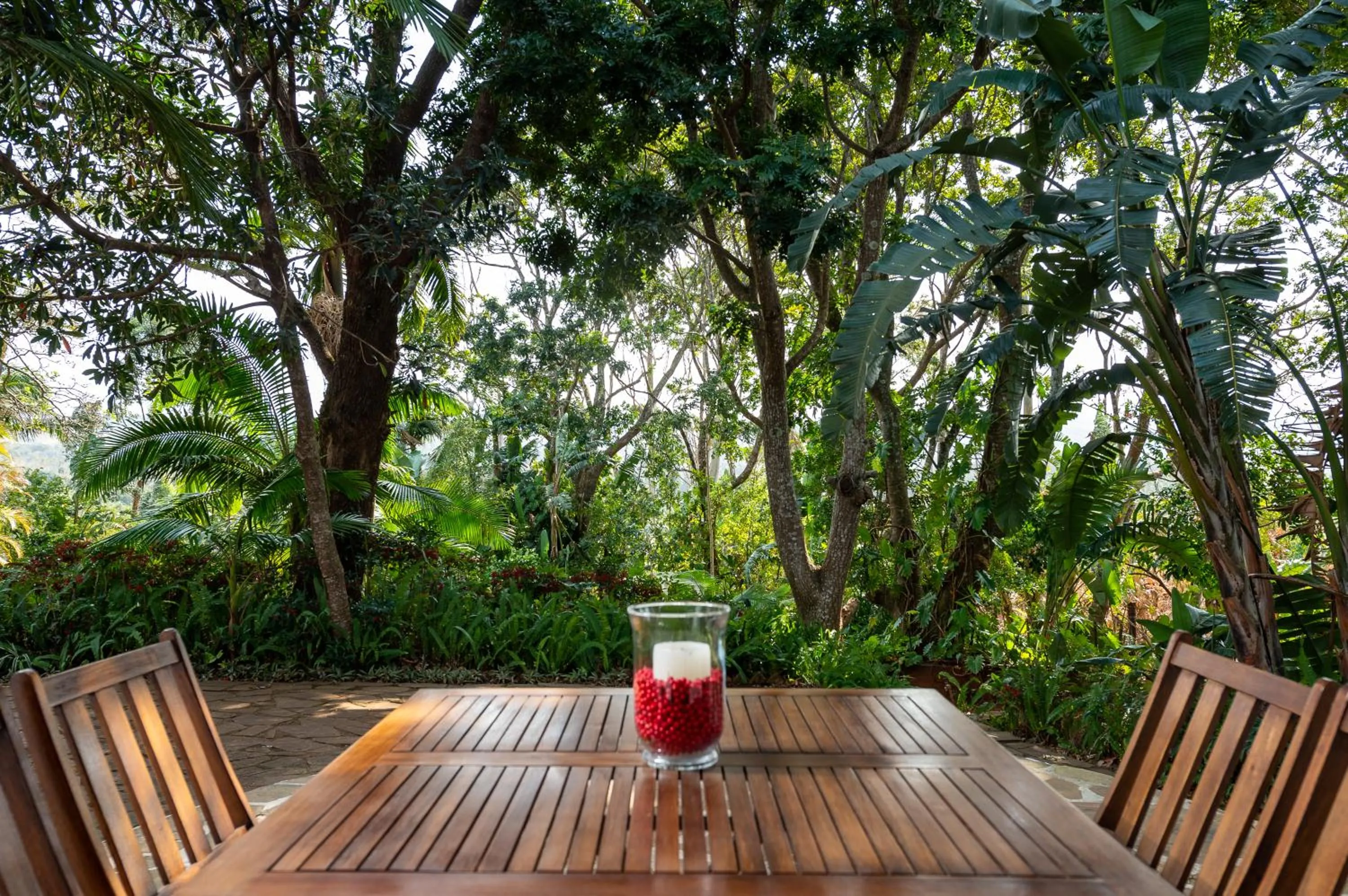Patio in Zesty Guesthouse