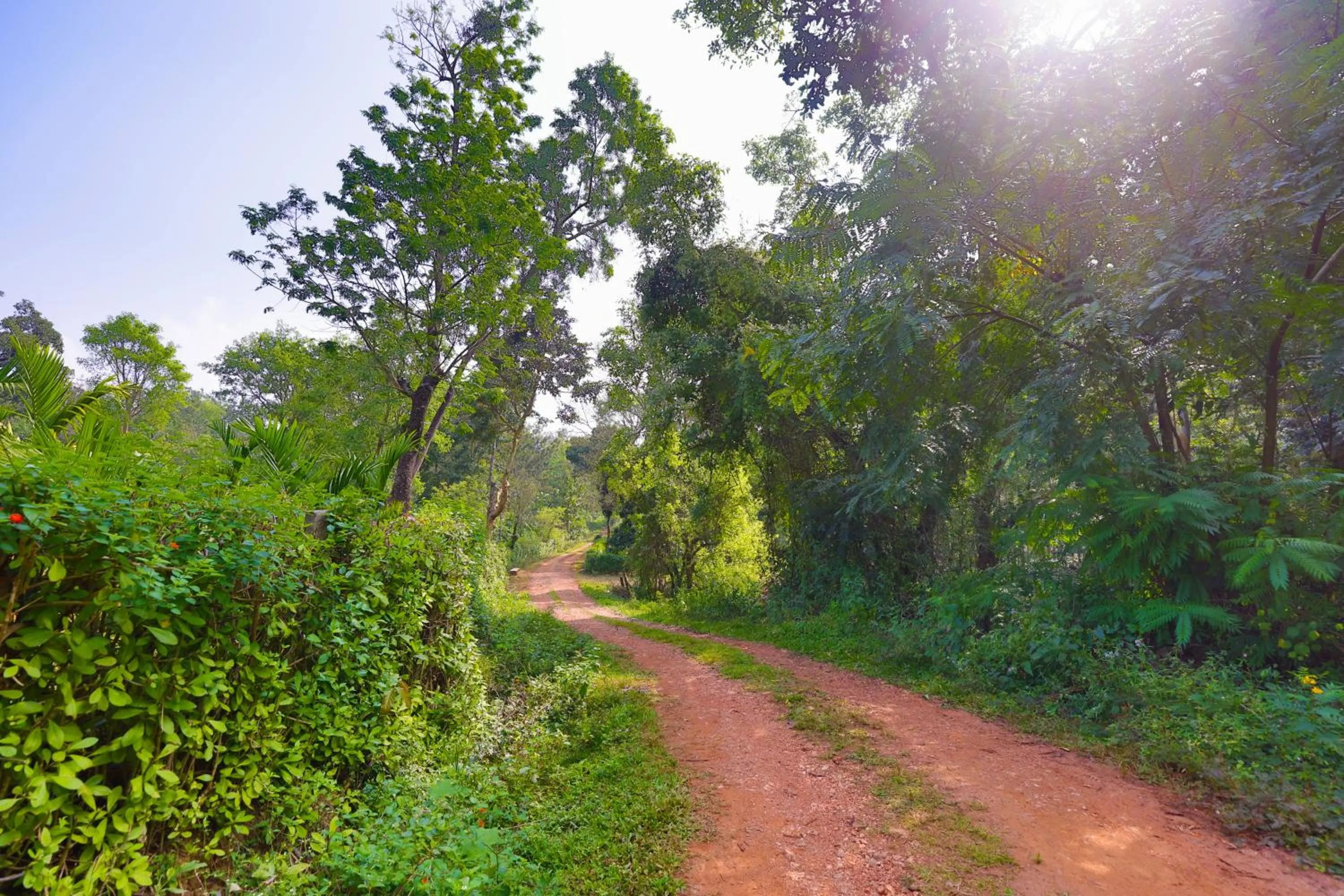 Natural landscape in The Grand Retreat - Chikmagalur