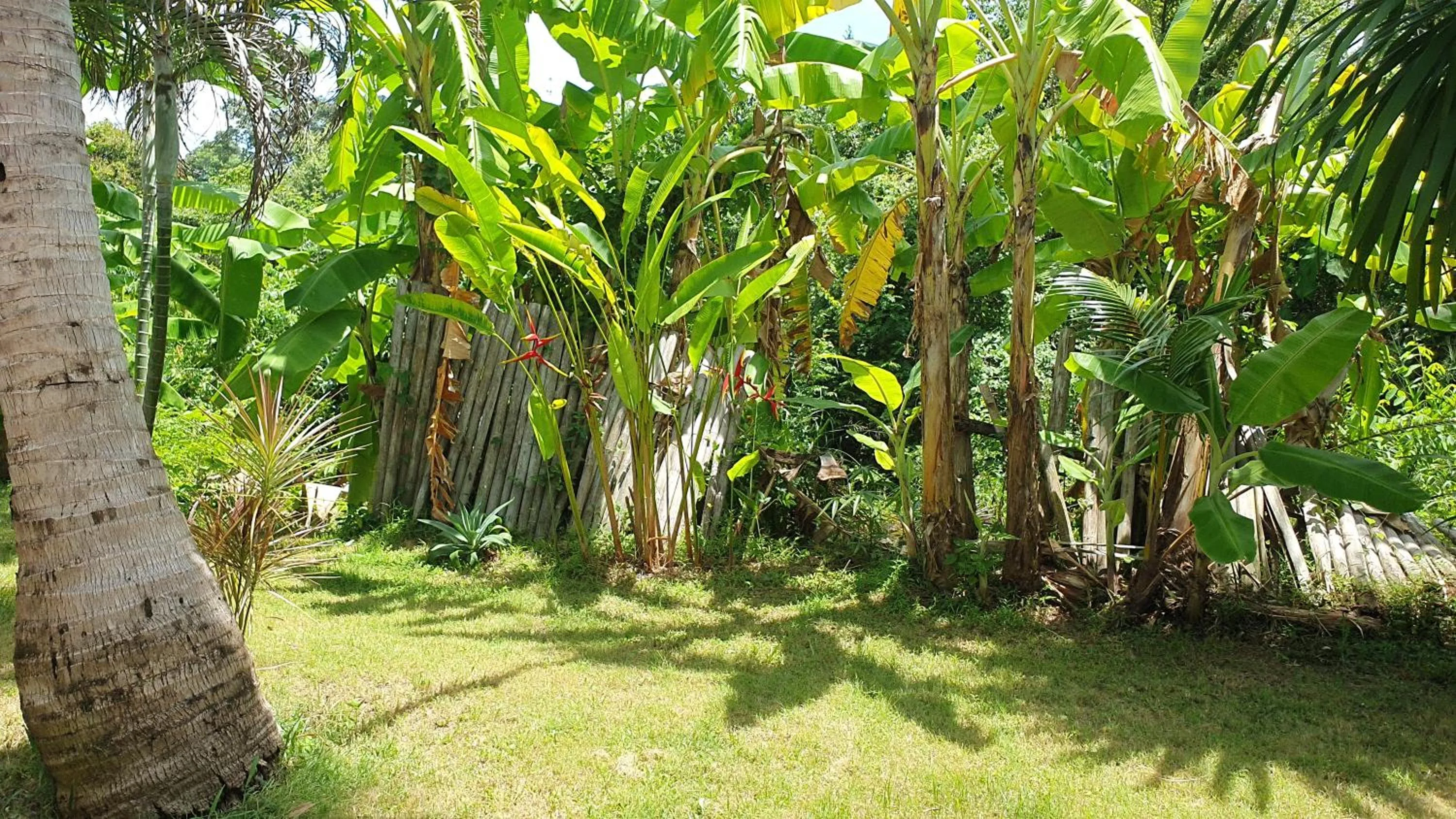 Natural landscape in Pink House