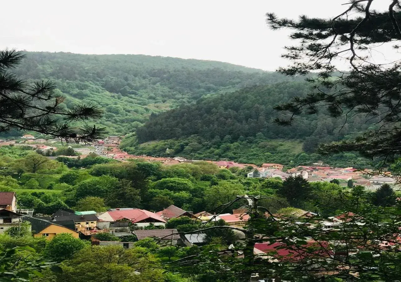 Johann Gott Suite Johann Gott Suite