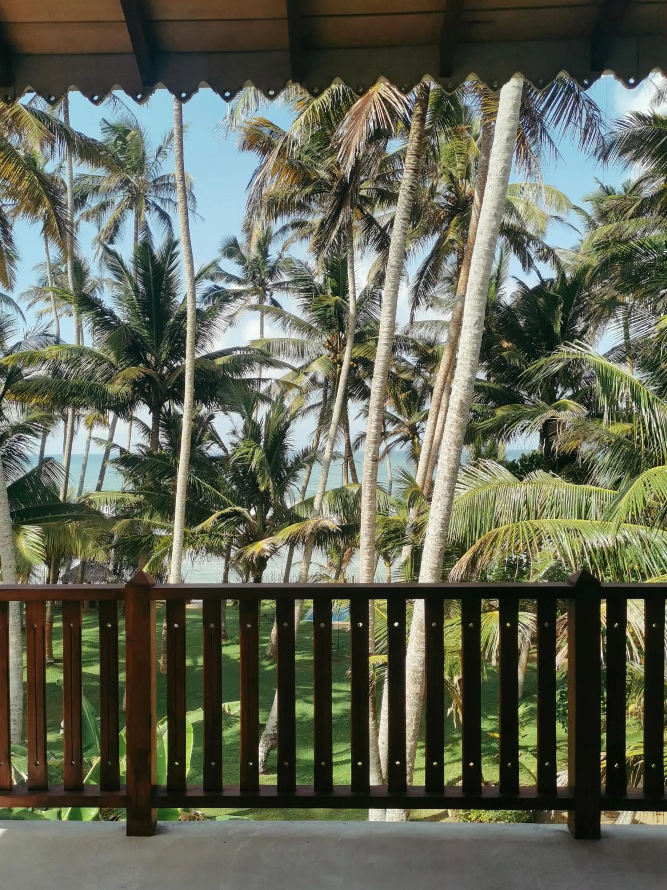 Garden in Galawatta Beach Resort