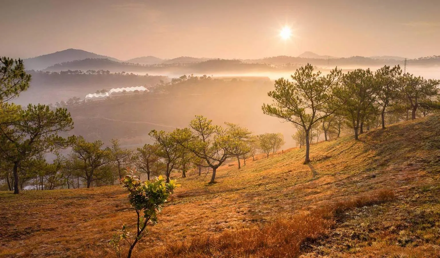Nearby landmark in Hoang Thang 1 Hotel Da Lat City