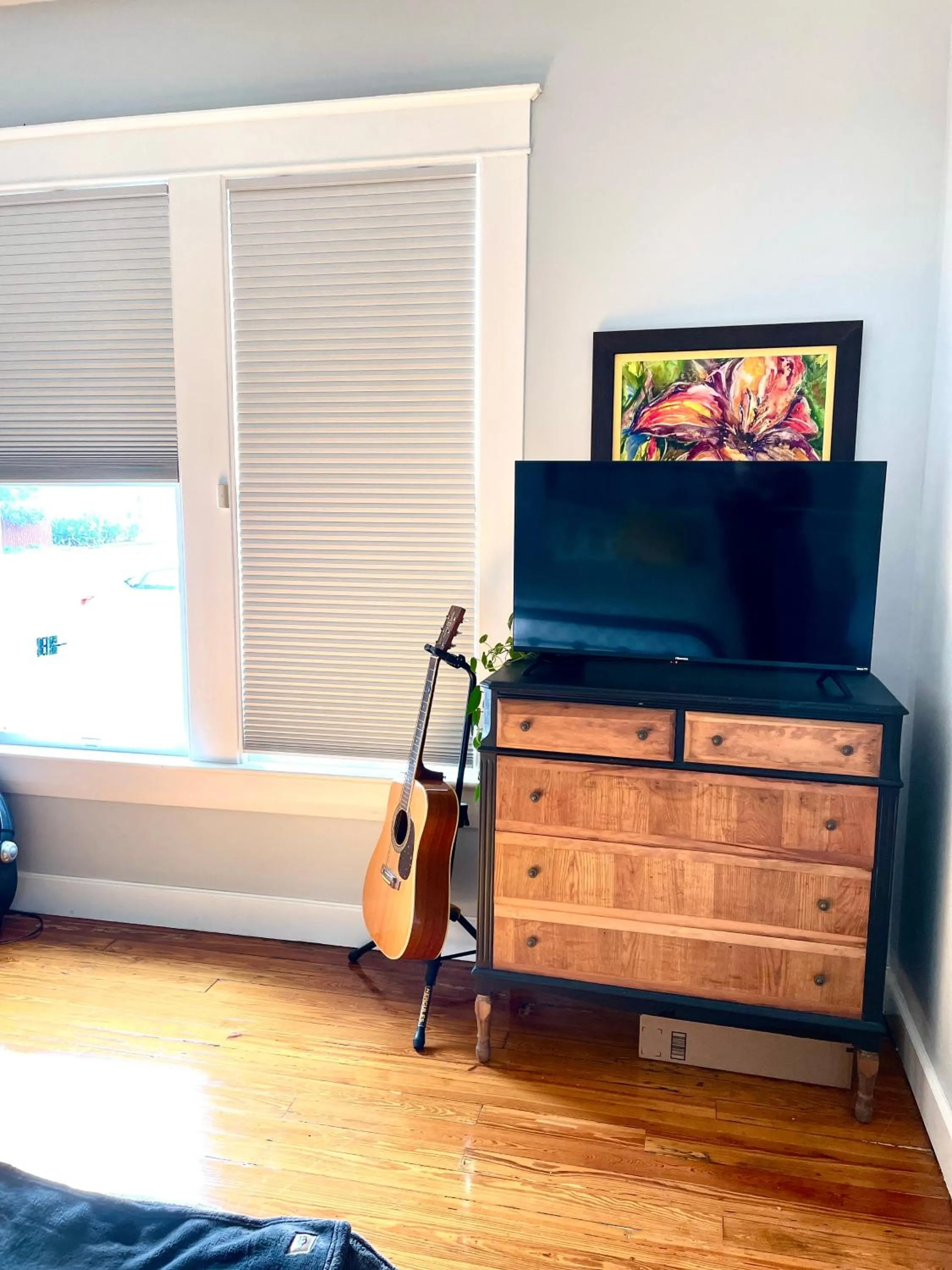 TV and multimedia in Tampa Heights Bungalow