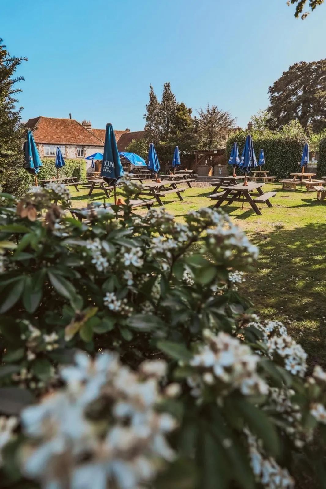 Garden in The White Hart, South Harting