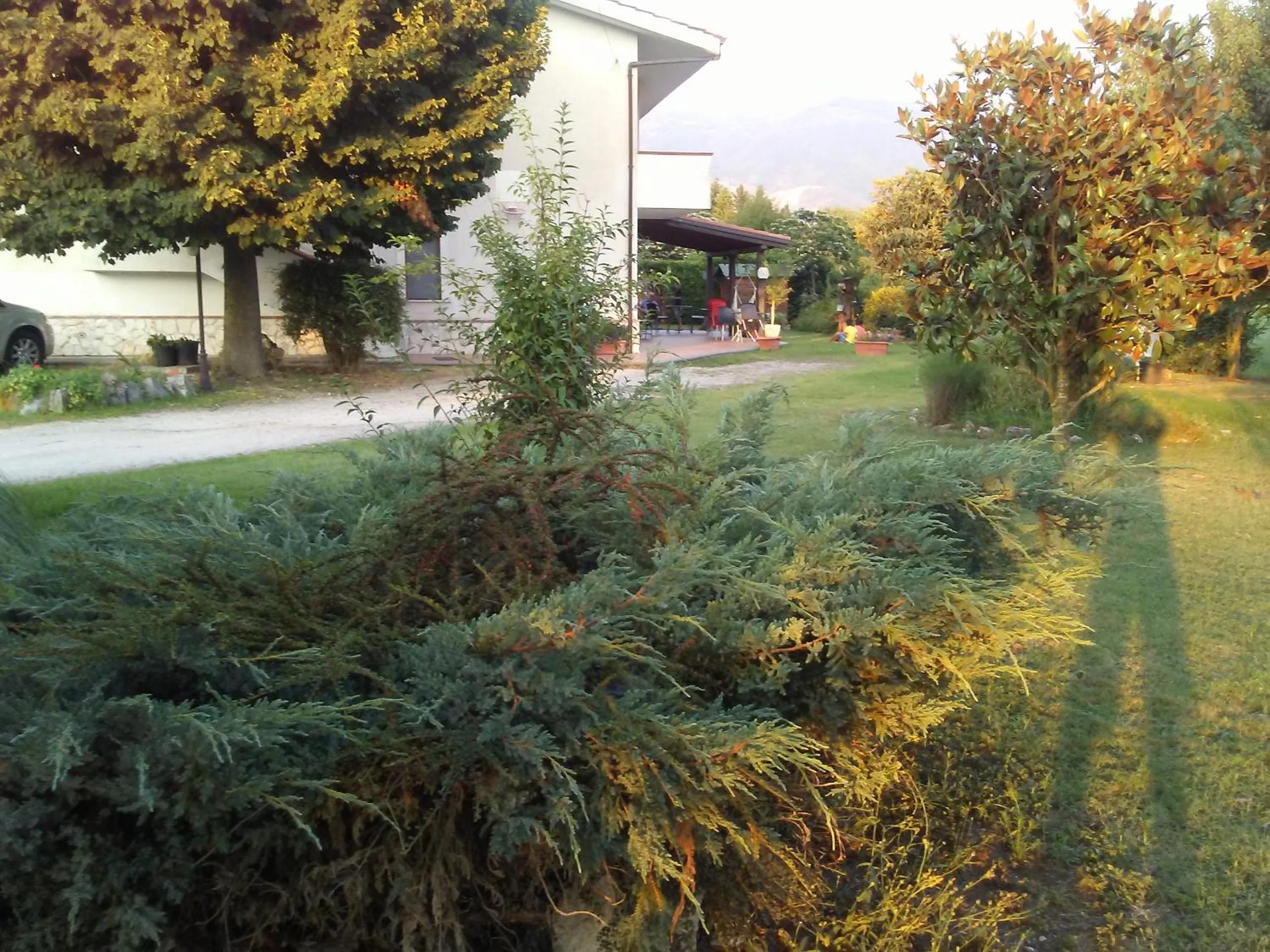 Garden in B&B Il Tiglio