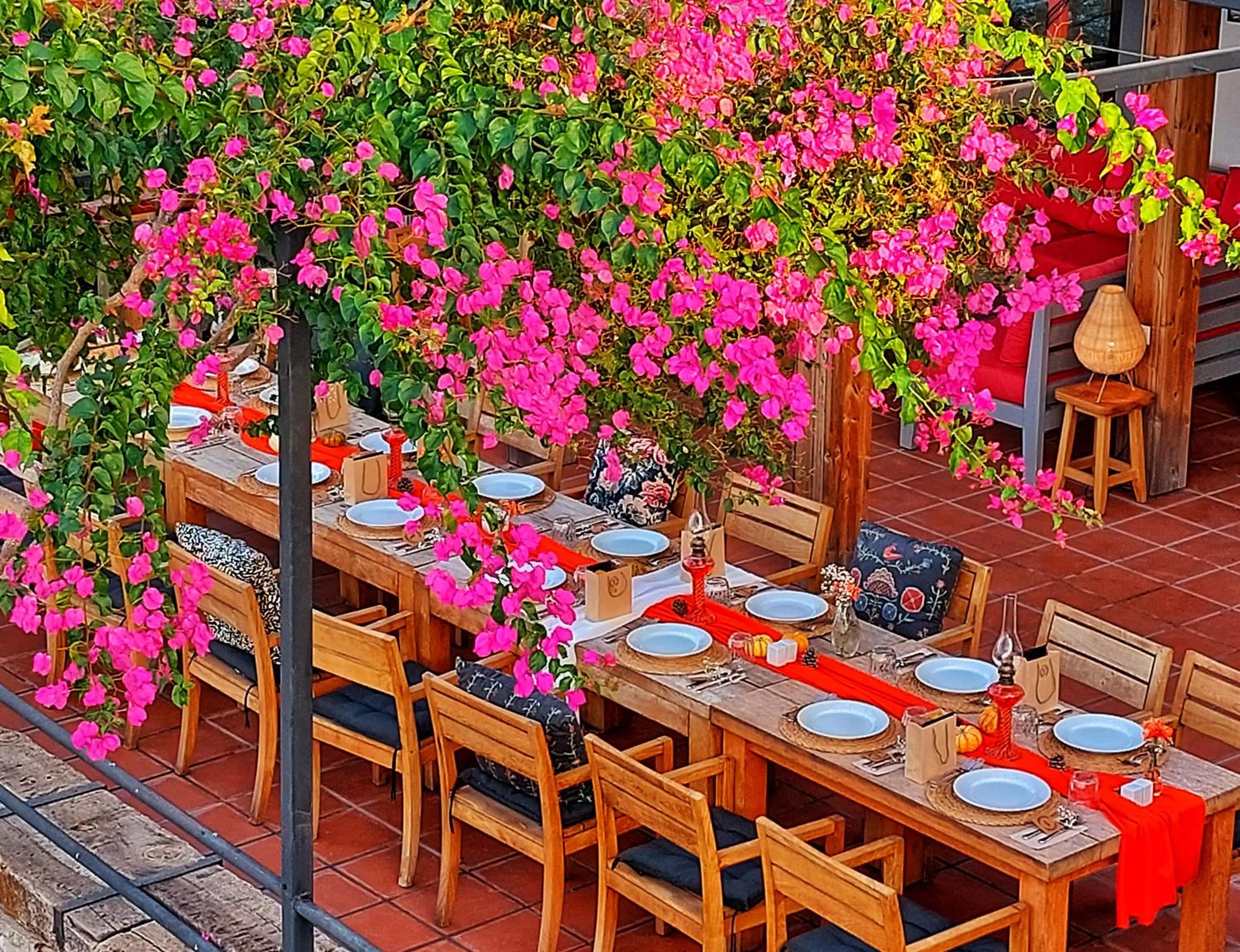 Restaurant/places to eat in Ece Hotel Sovalye Island