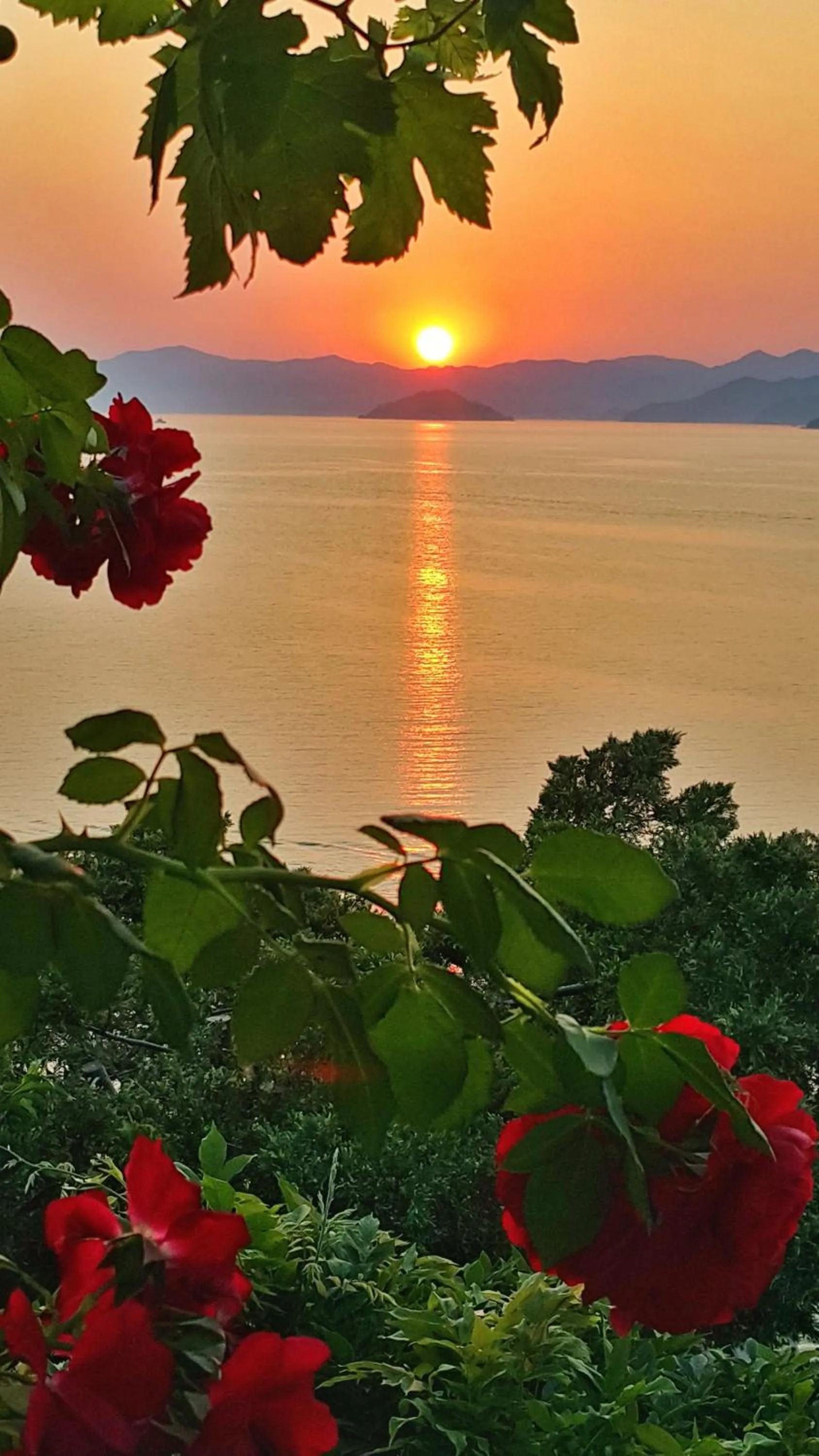 Restaurant/places to eat in Ece Hotel Sovalye Island