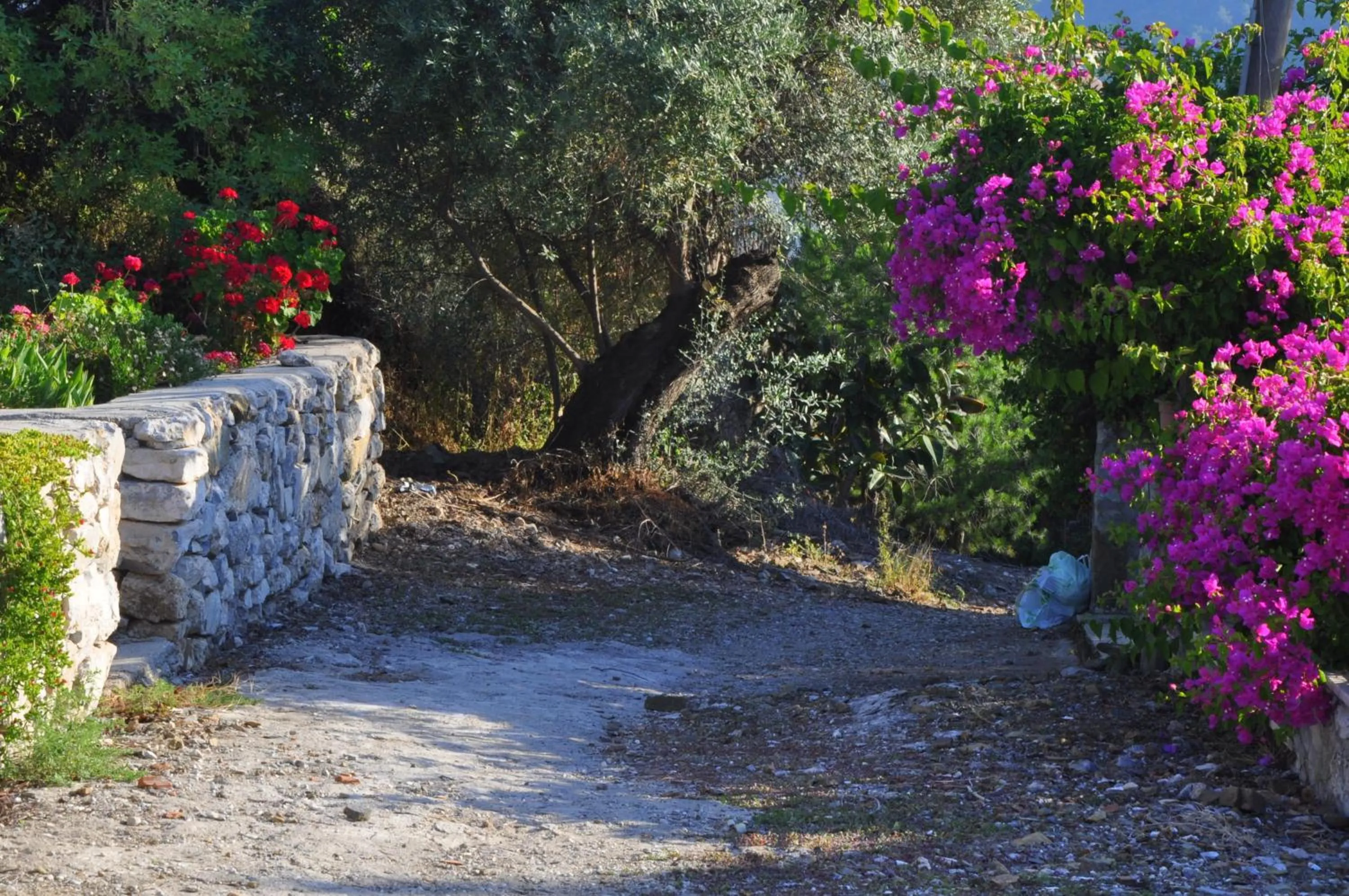 Nearby landmark in Ece Hotel Sovalye Island