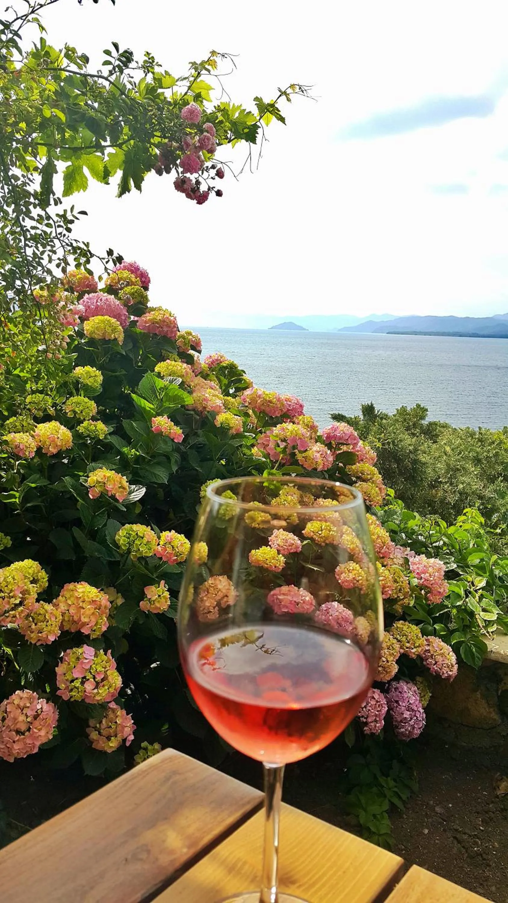 Garden in Ece Hotel Sovalye Island