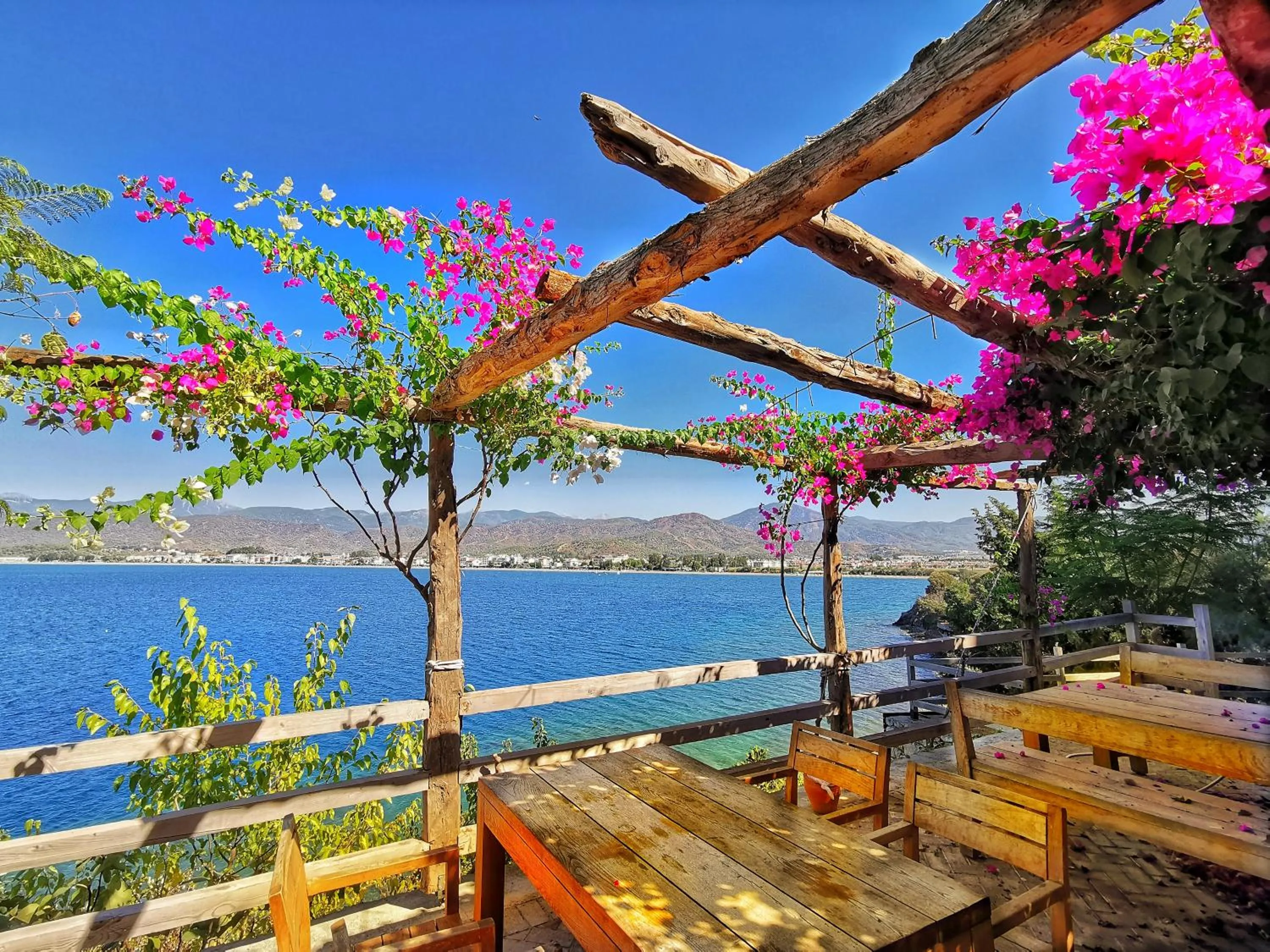 Garden in Ece Hotel Sovalye Island