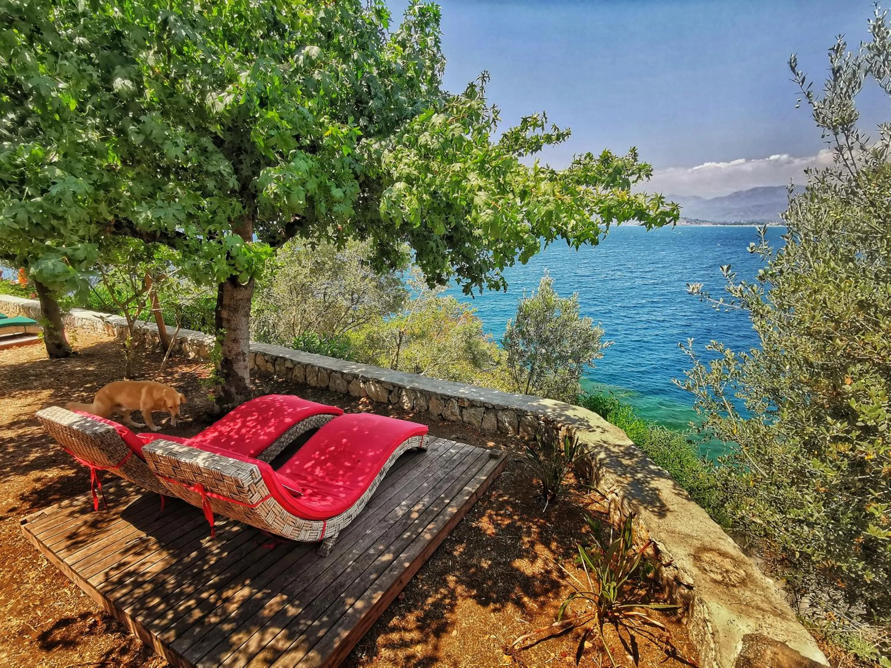 Garden in Ece Hotel Sovalye Island