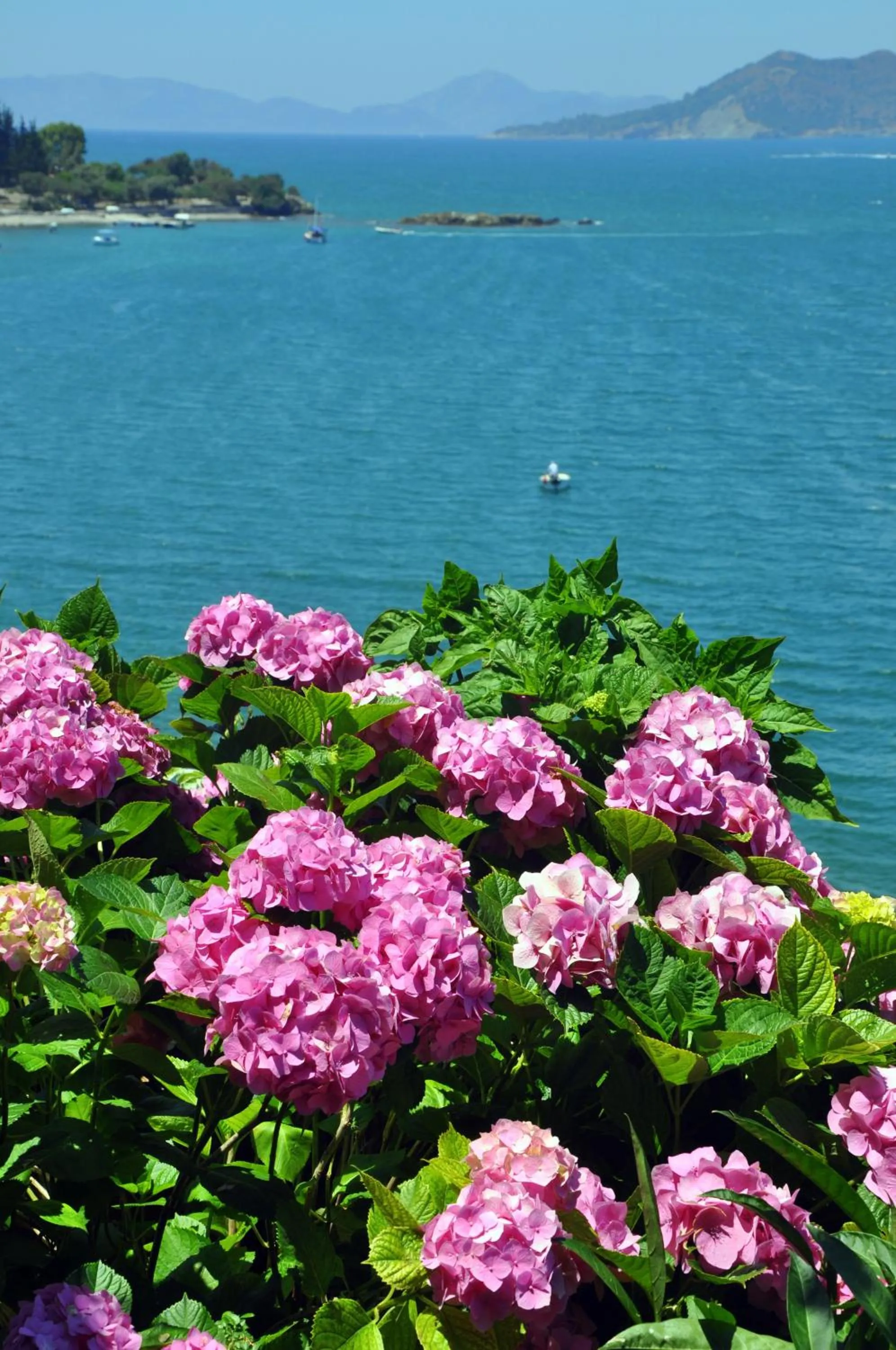 Garden in Ece Hotel Sovalye Island