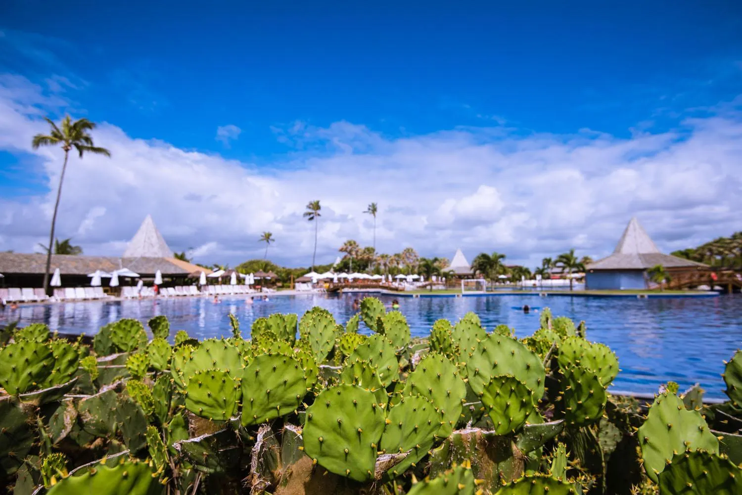 Natural landscape in Vila Galé Resort Marés - All Inclusive