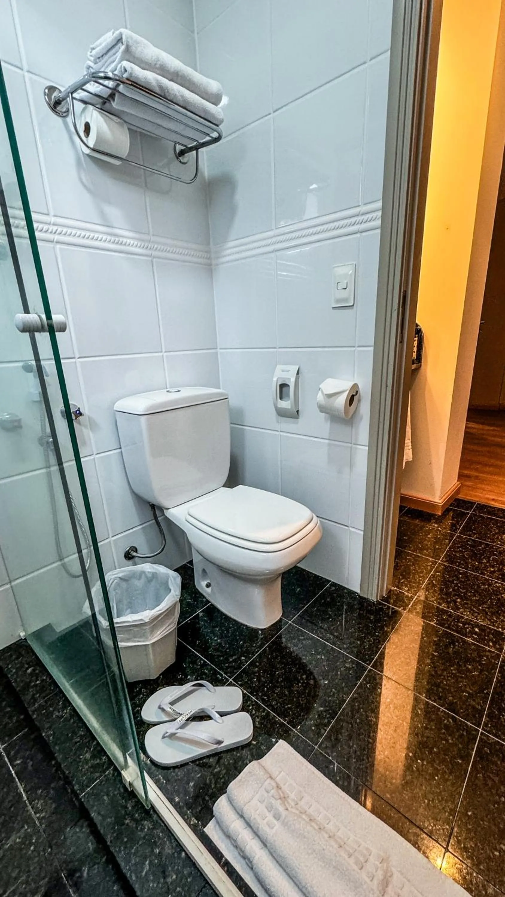 Toilet in Mercure Curitiba 7 de Setembro