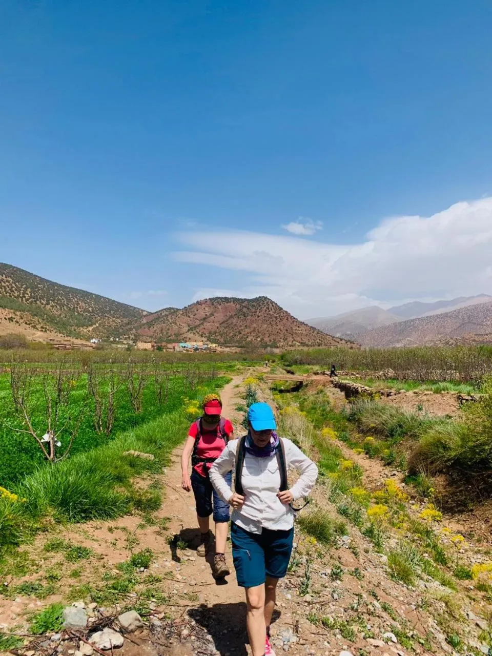 Spring in Gite Tawada