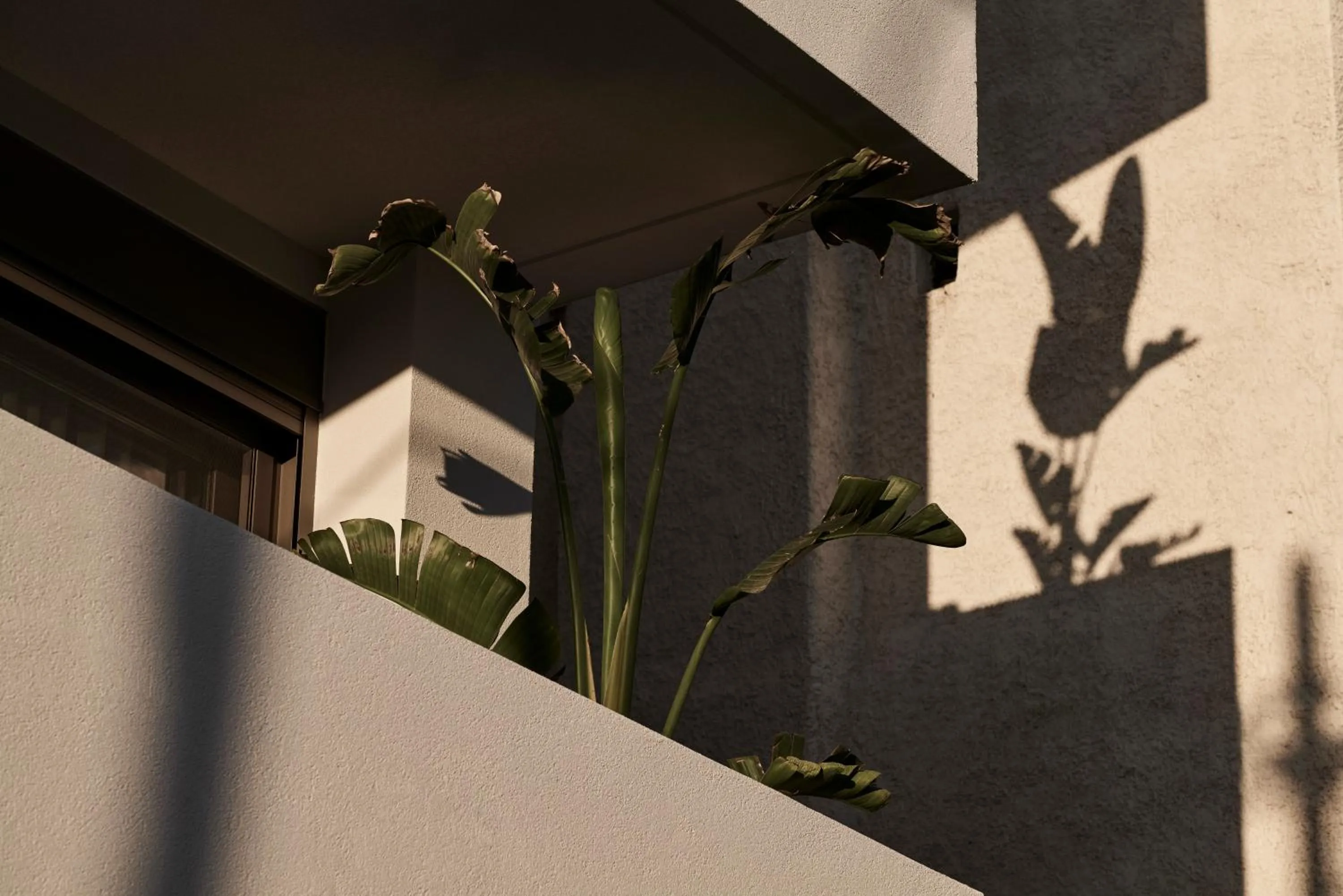 Property building in Bond Smart Living Suites