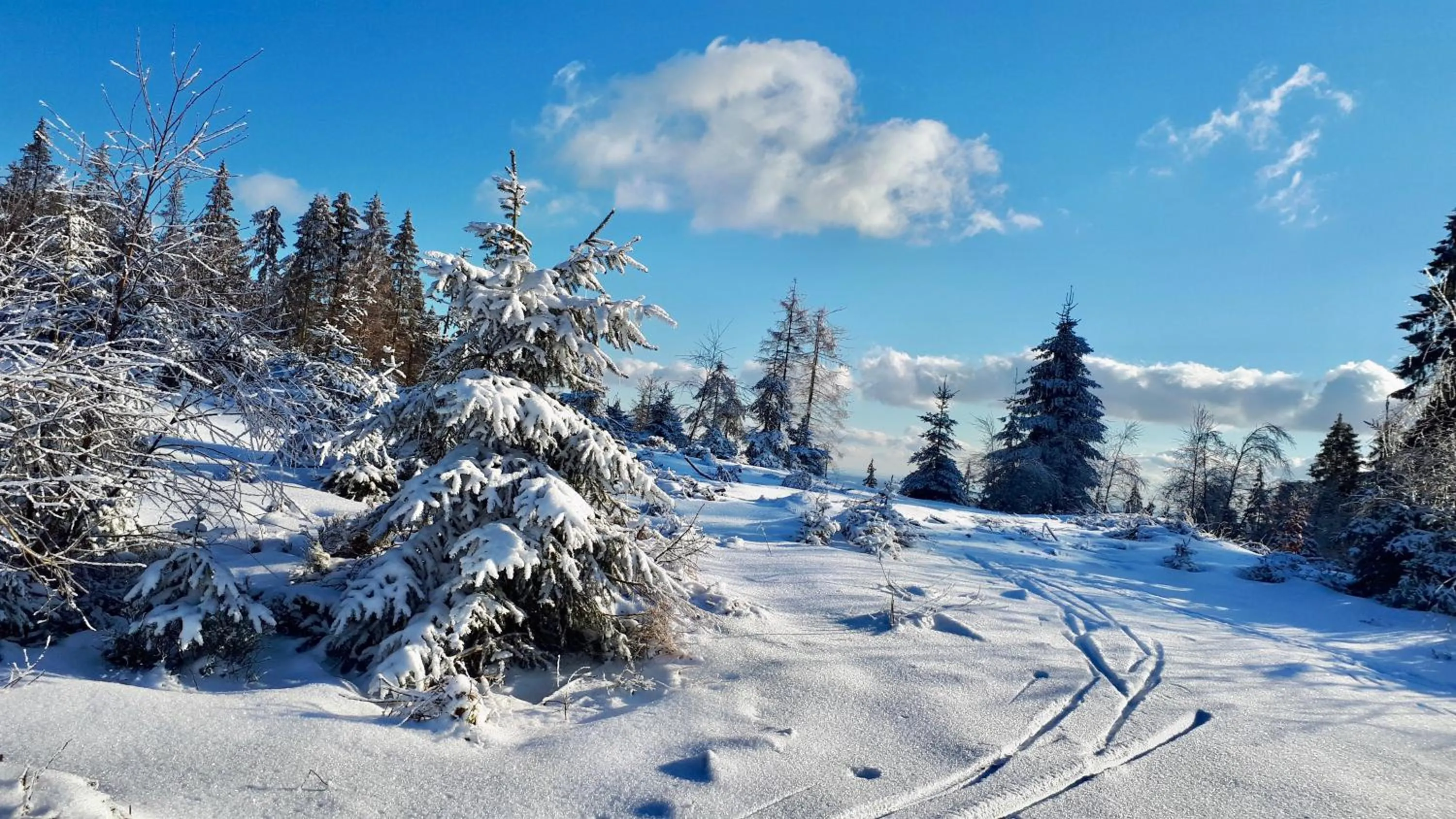 Winter in Übernachten im Café Restaurant Vedder