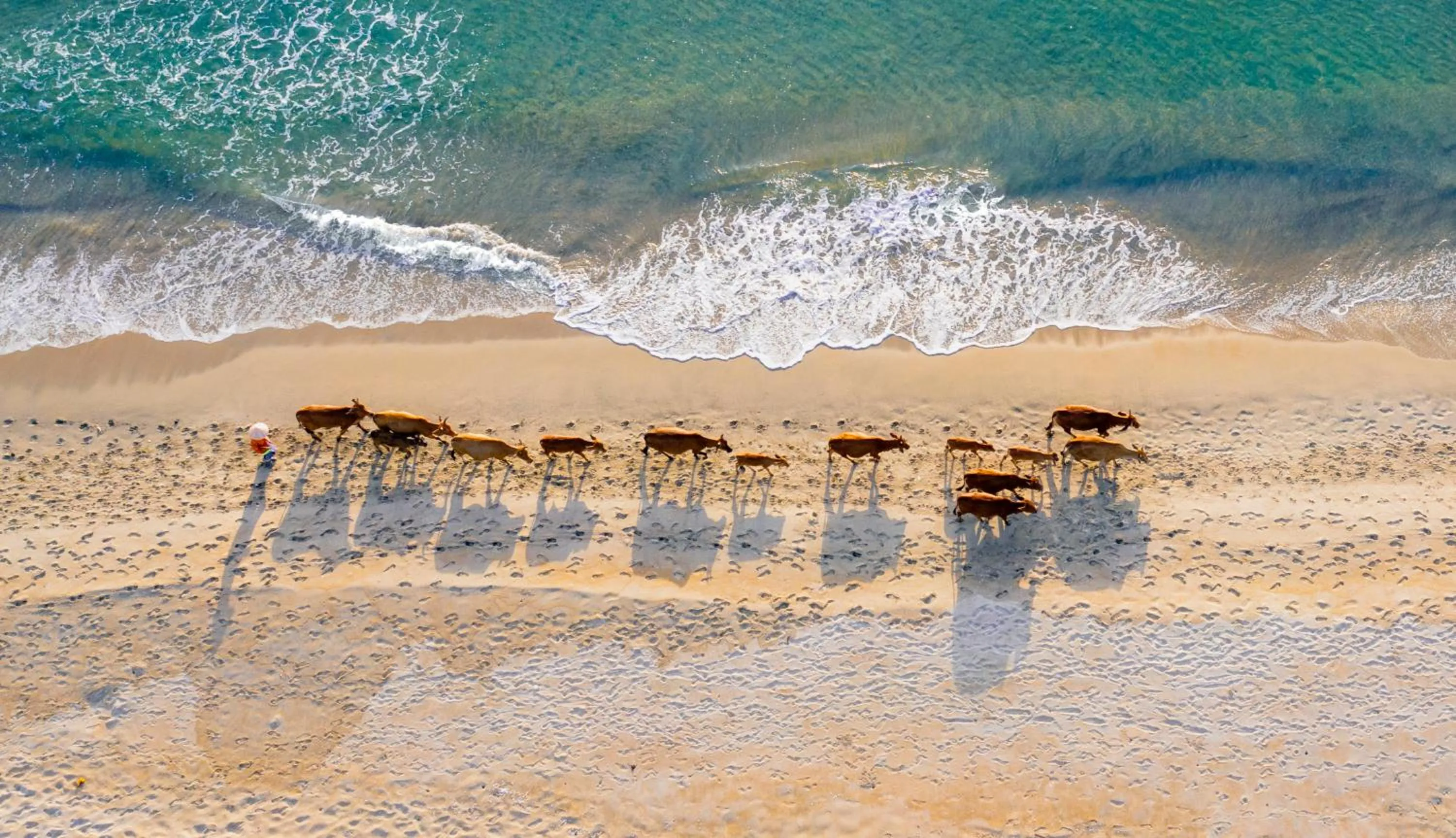 Beach in Naman Retreat