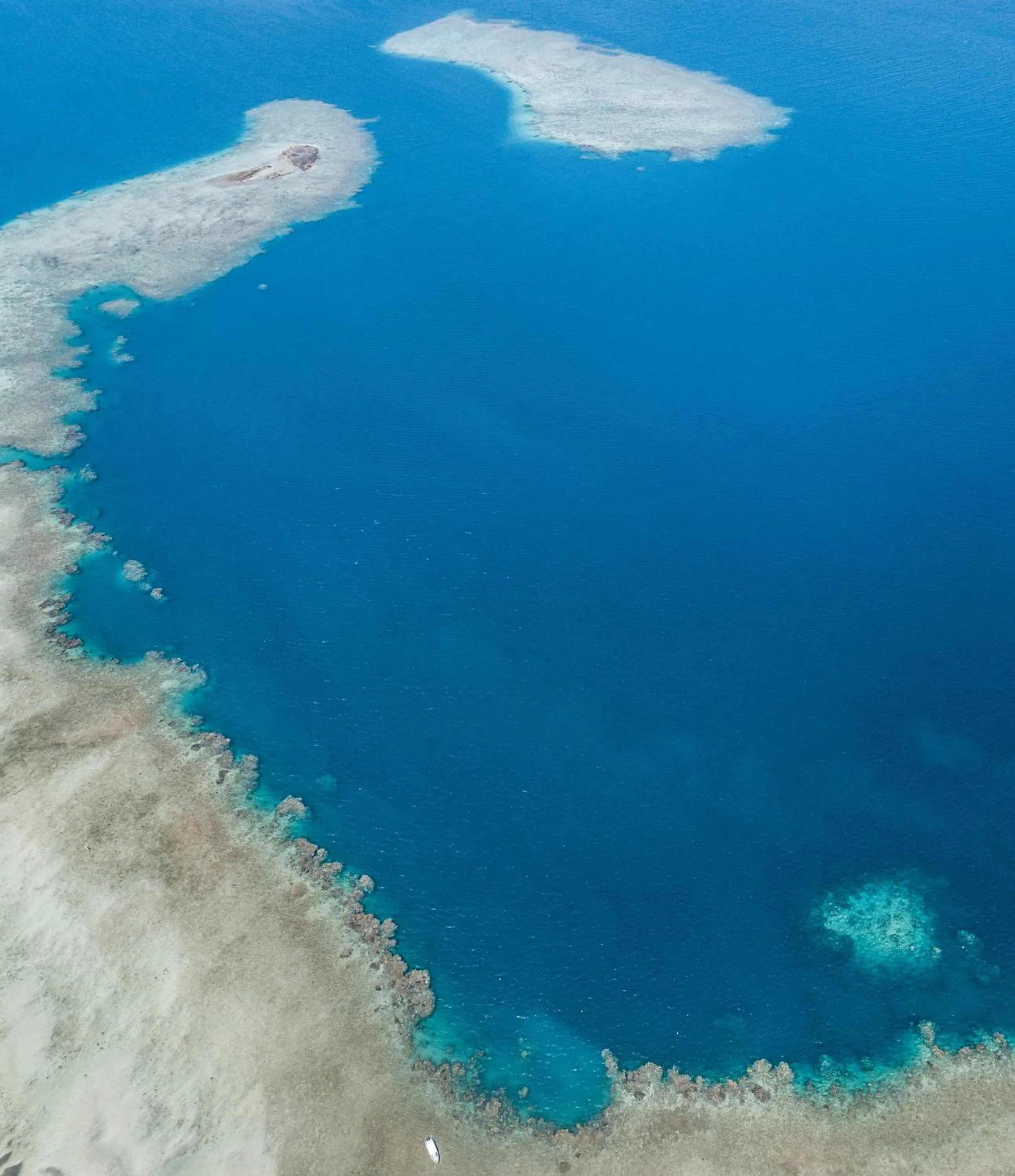 Fishing in Hotel Maharajah