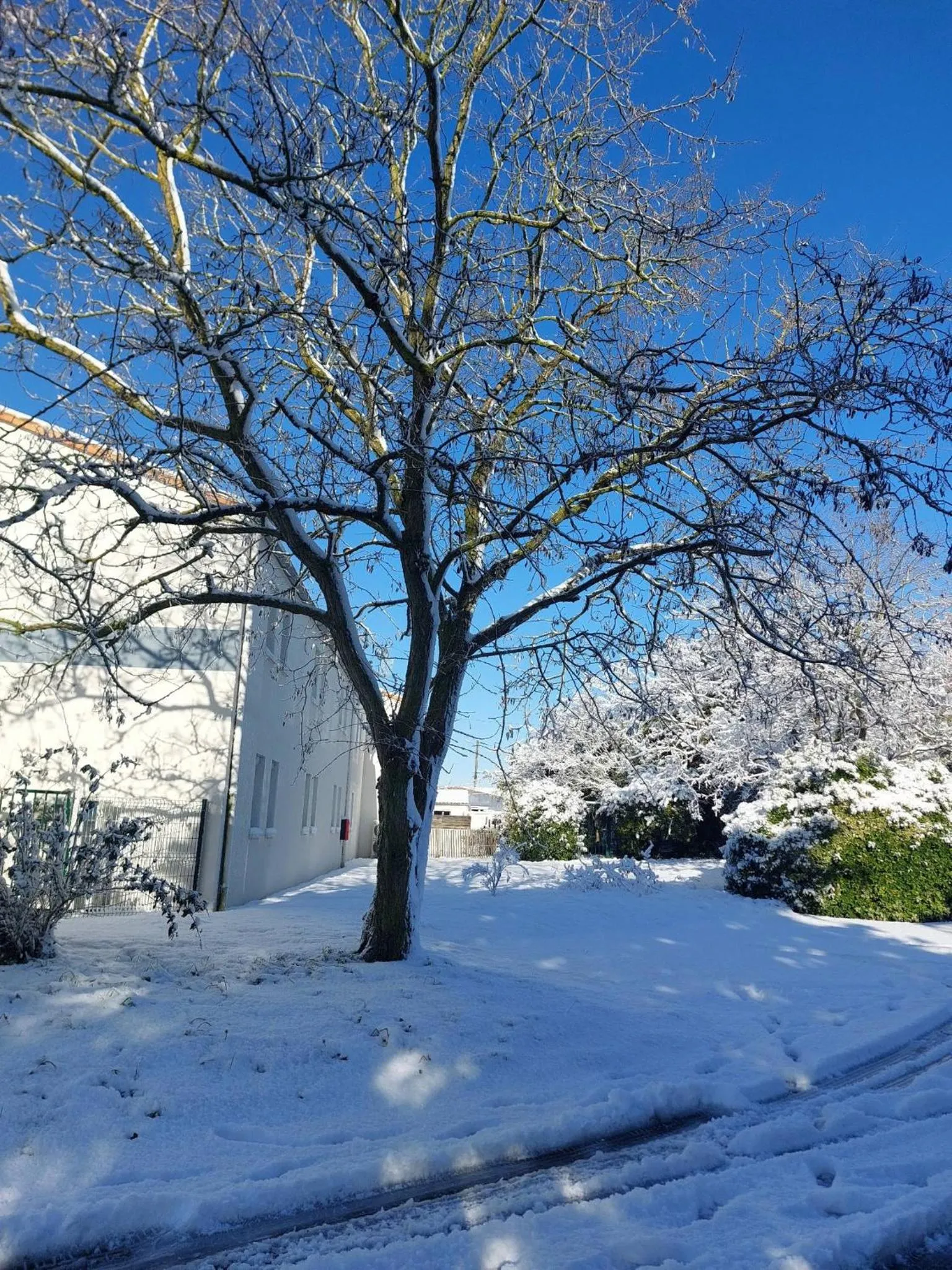 Garden in Logis Hôtel L'Air Marin