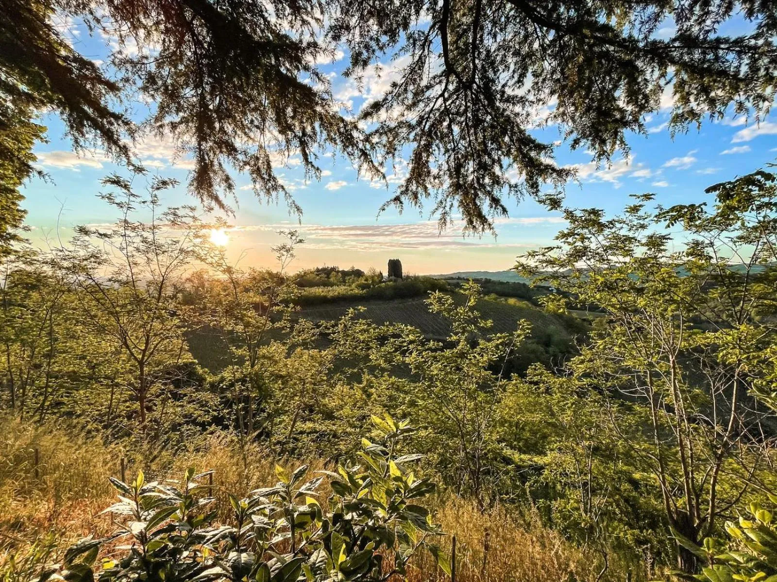 Natural landscape in Bed & Breakfast Montesterlino
