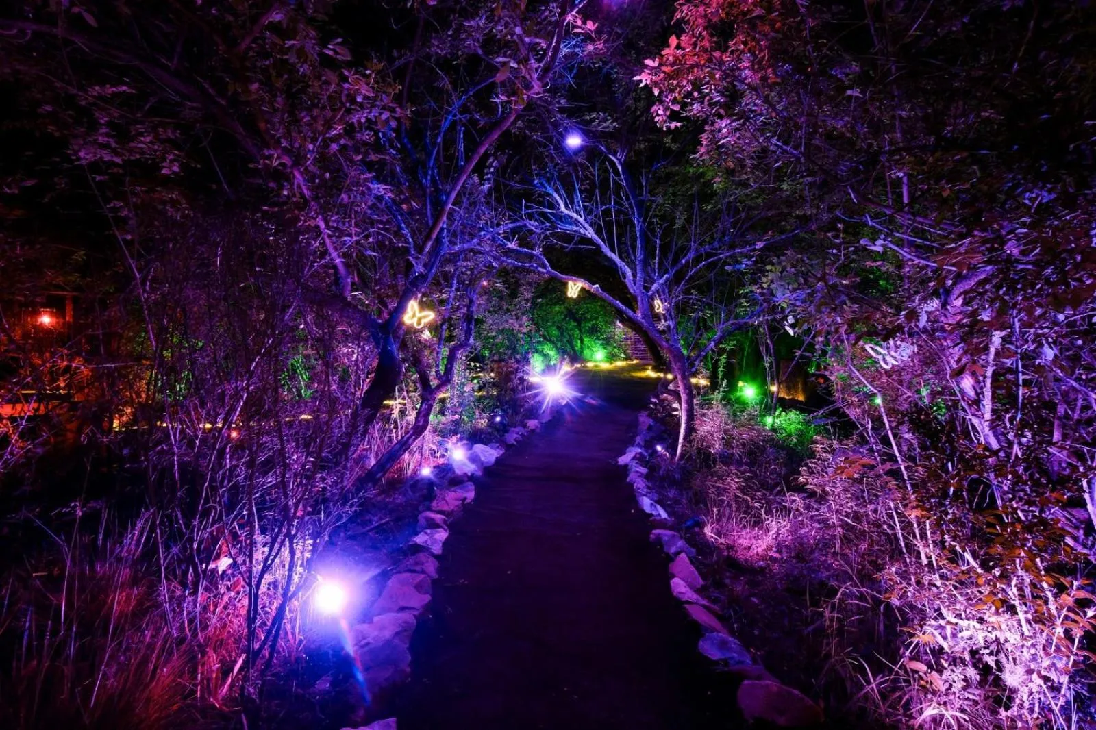 Restaurant/places to eat in Forum Homini Boutique Hotel