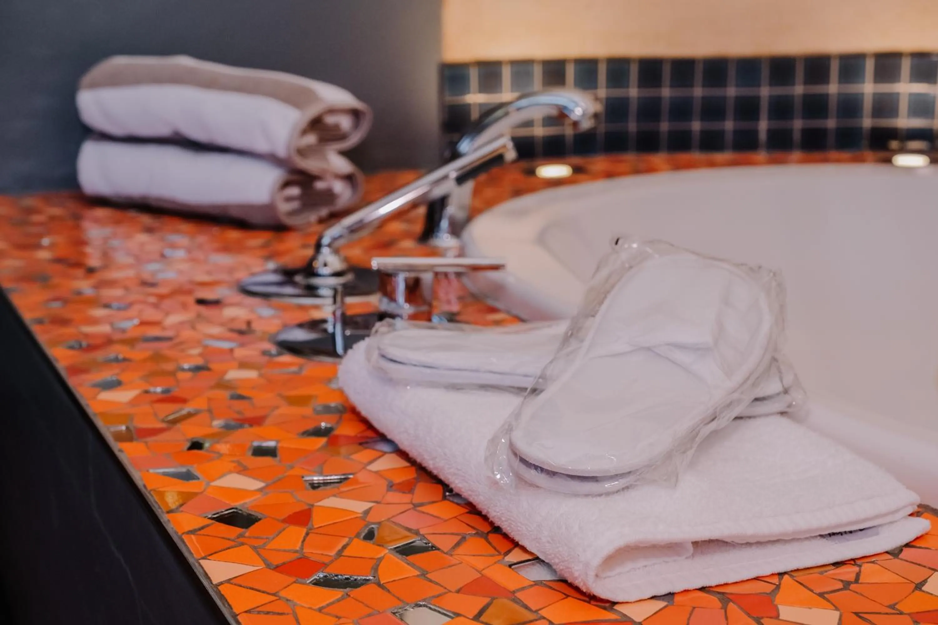 Forum Homini Boutique Hotel