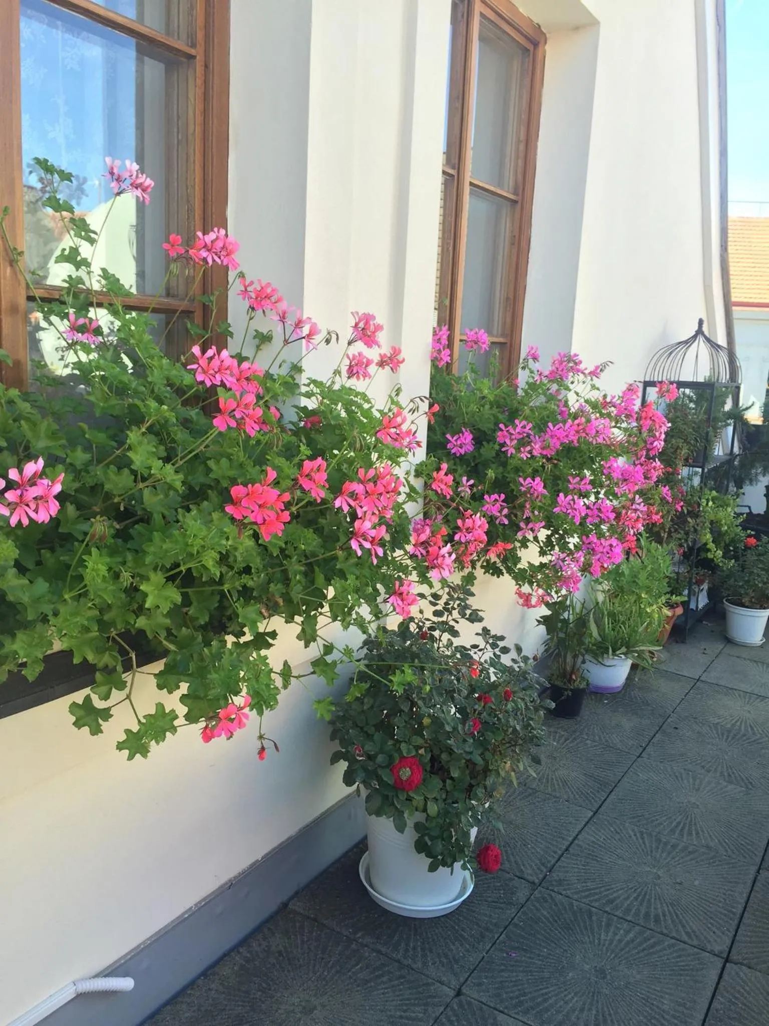 Balcony/Terrace in Old Town Boutique Apartments