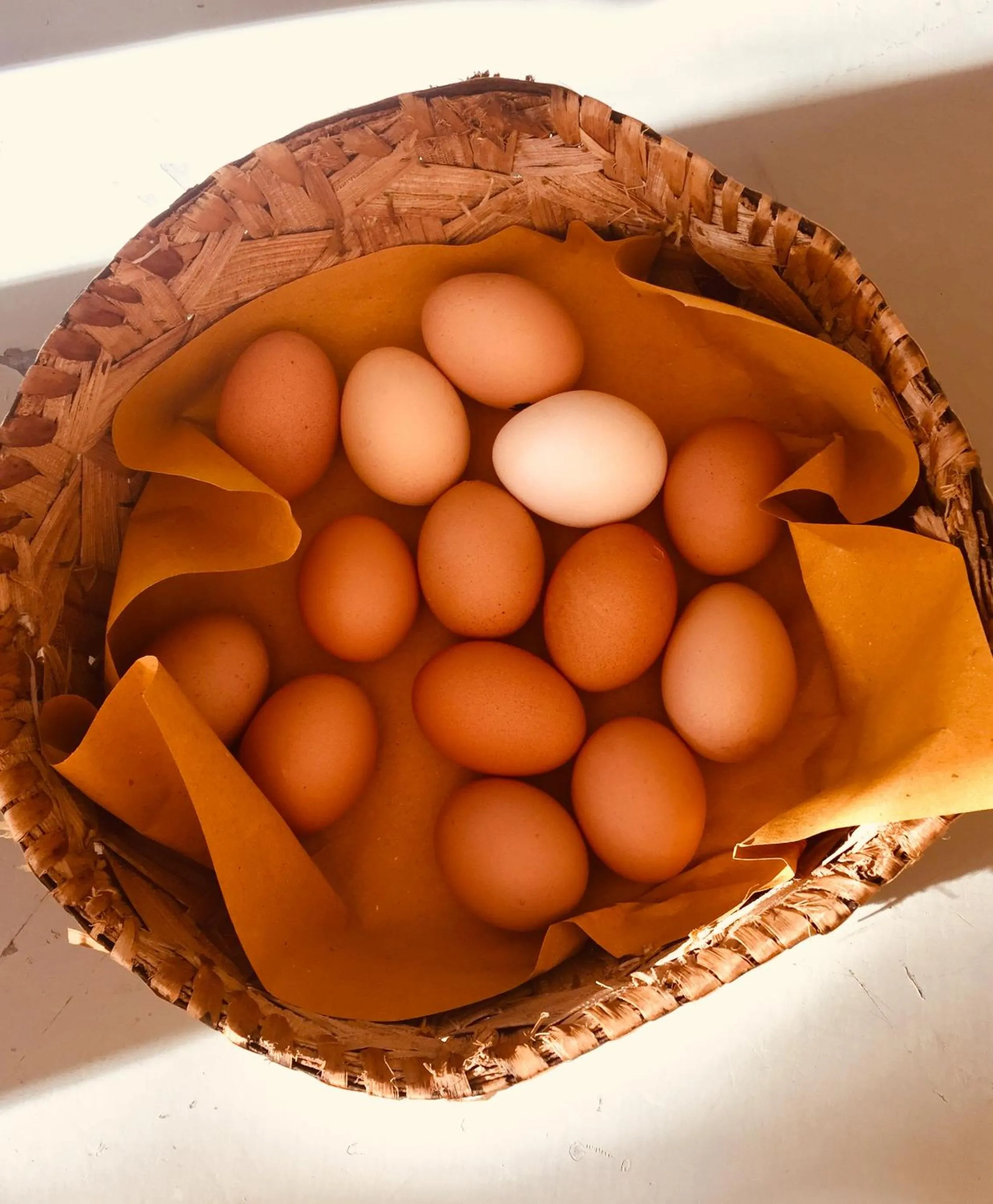 Food and drinks in MeraVilla