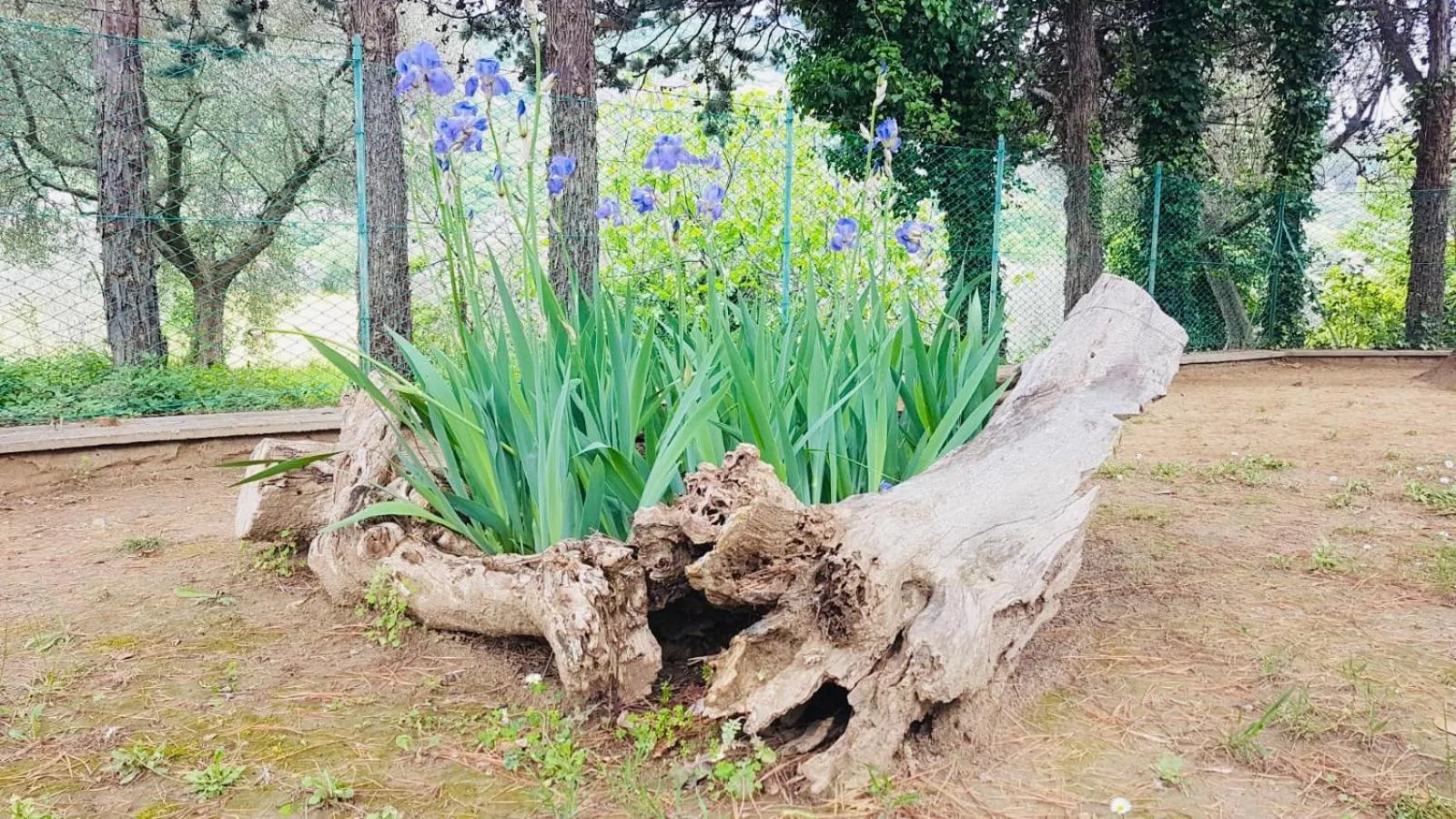 Natural landscape in MeraVilla