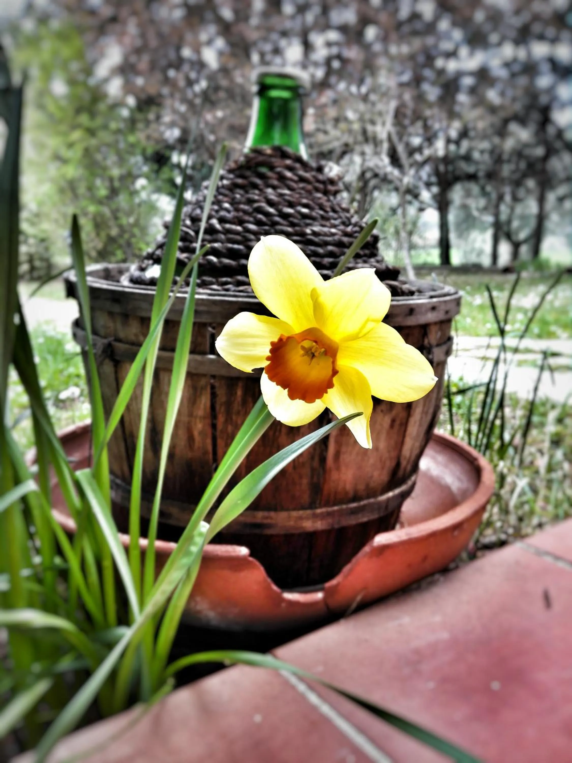 Garden view in MeraVilla