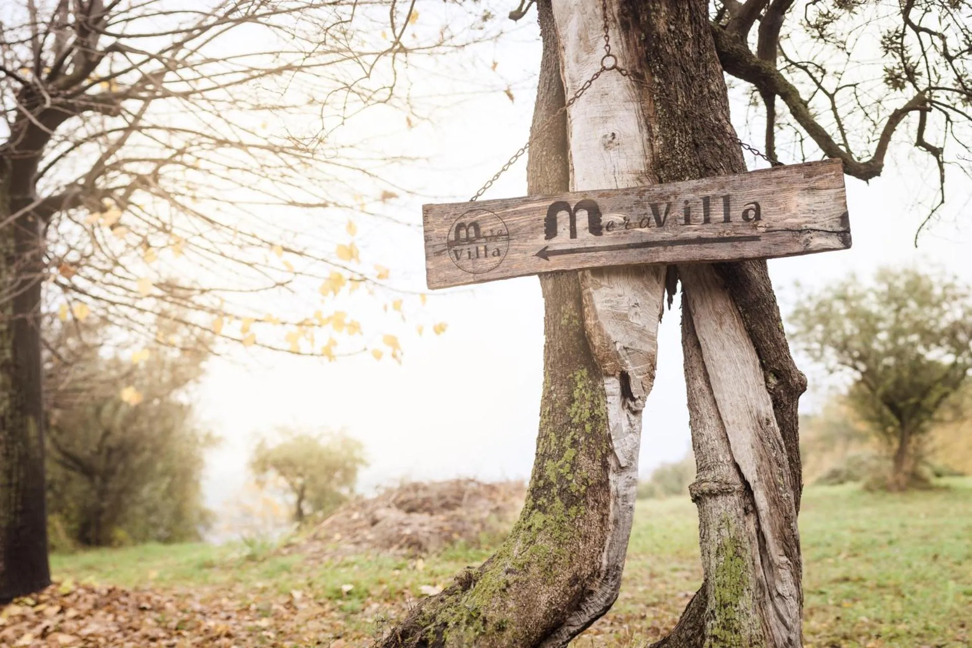 Property building in MeraVilla