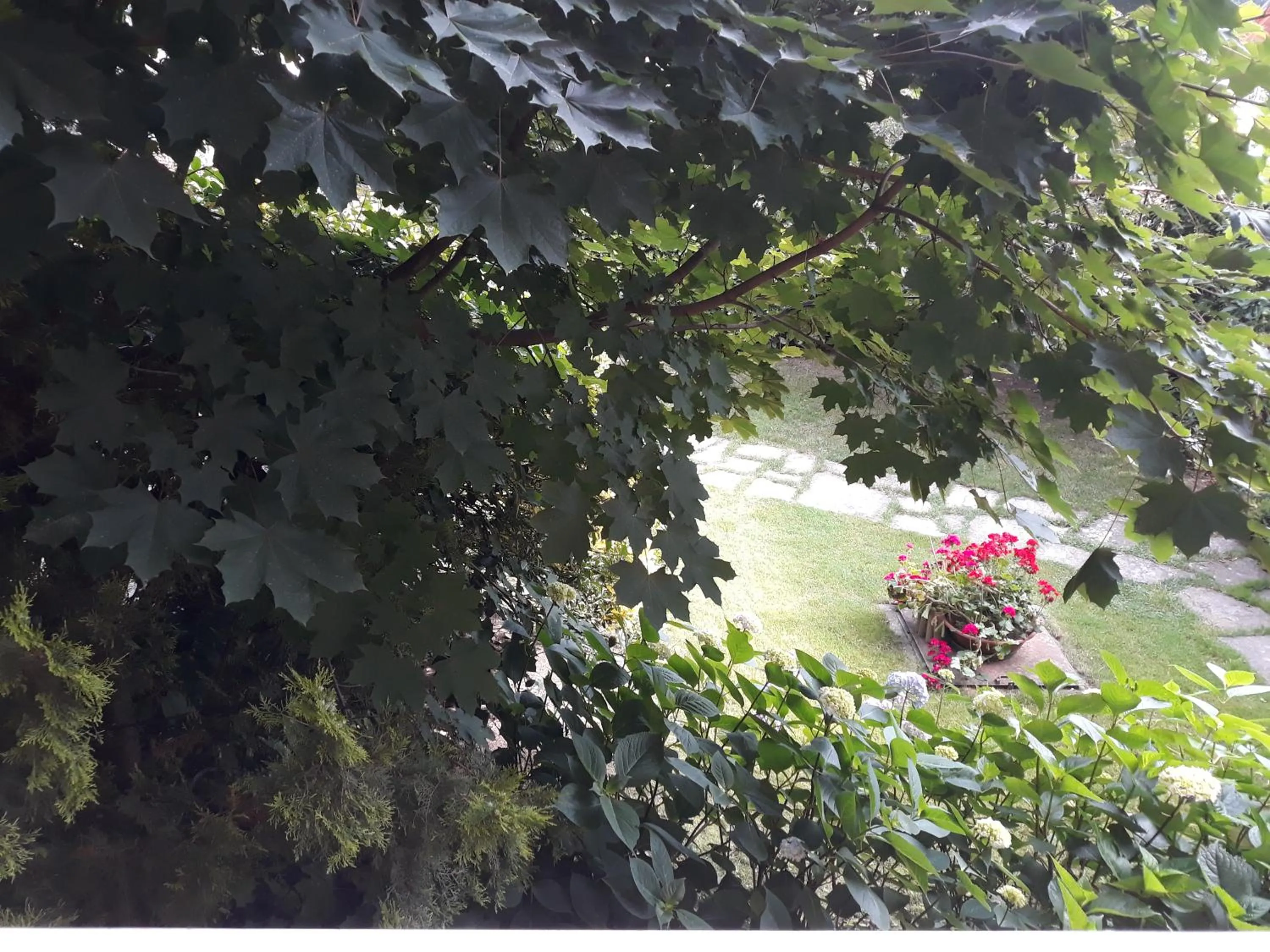 Garden view in Il Melograno