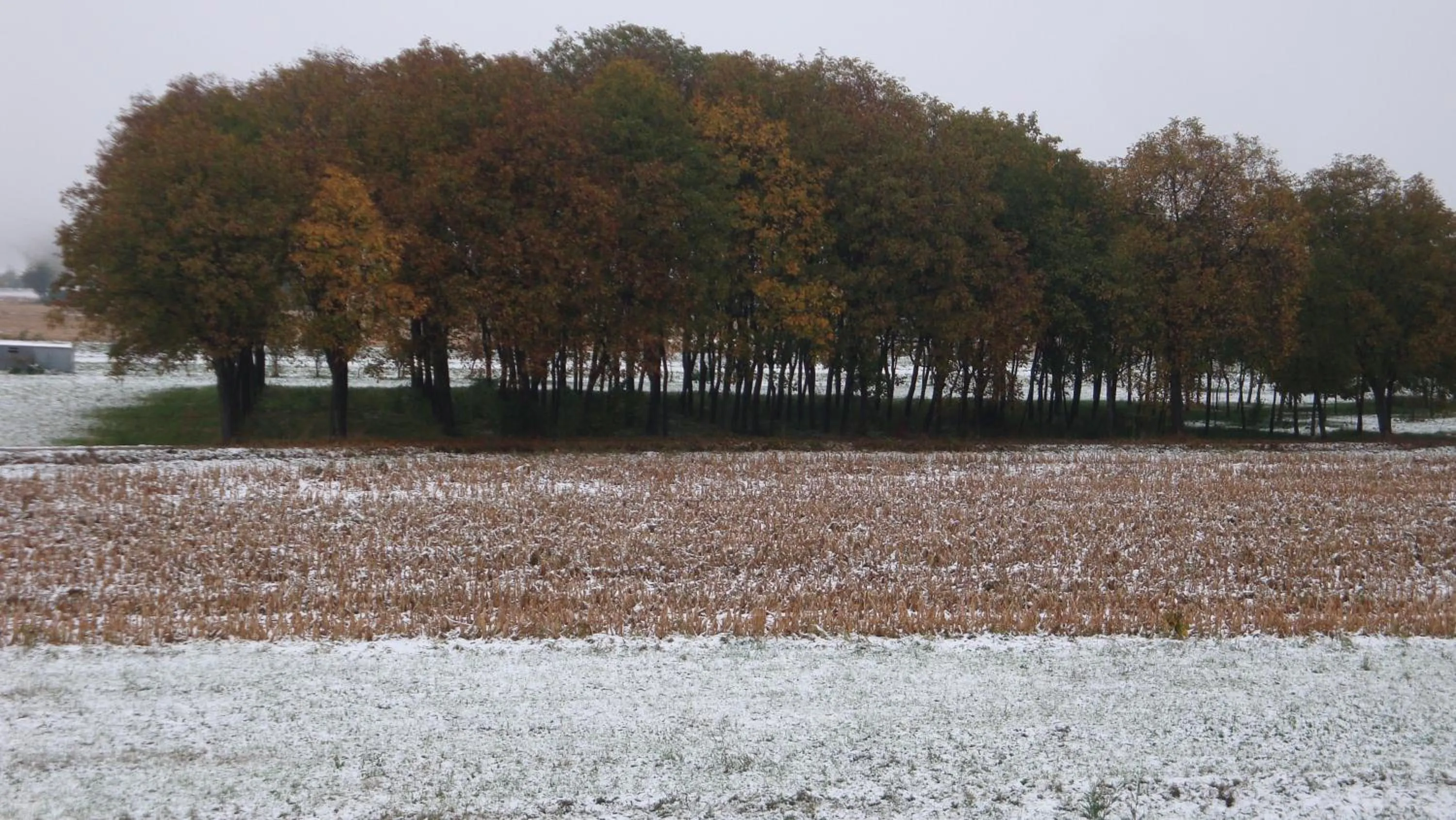 Area and facilities in Il Melograno