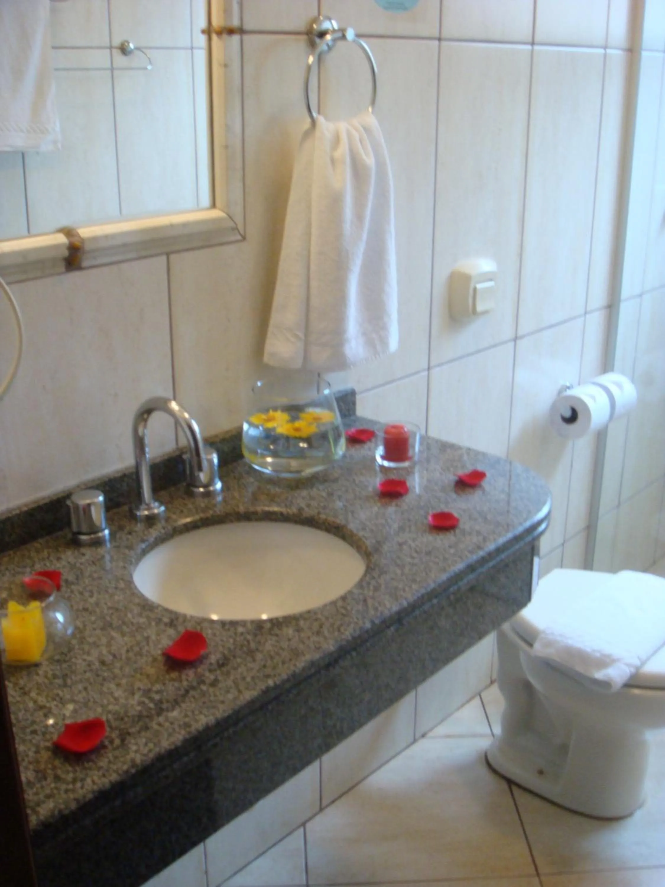 Toilet in Hotel Lago das Pedras