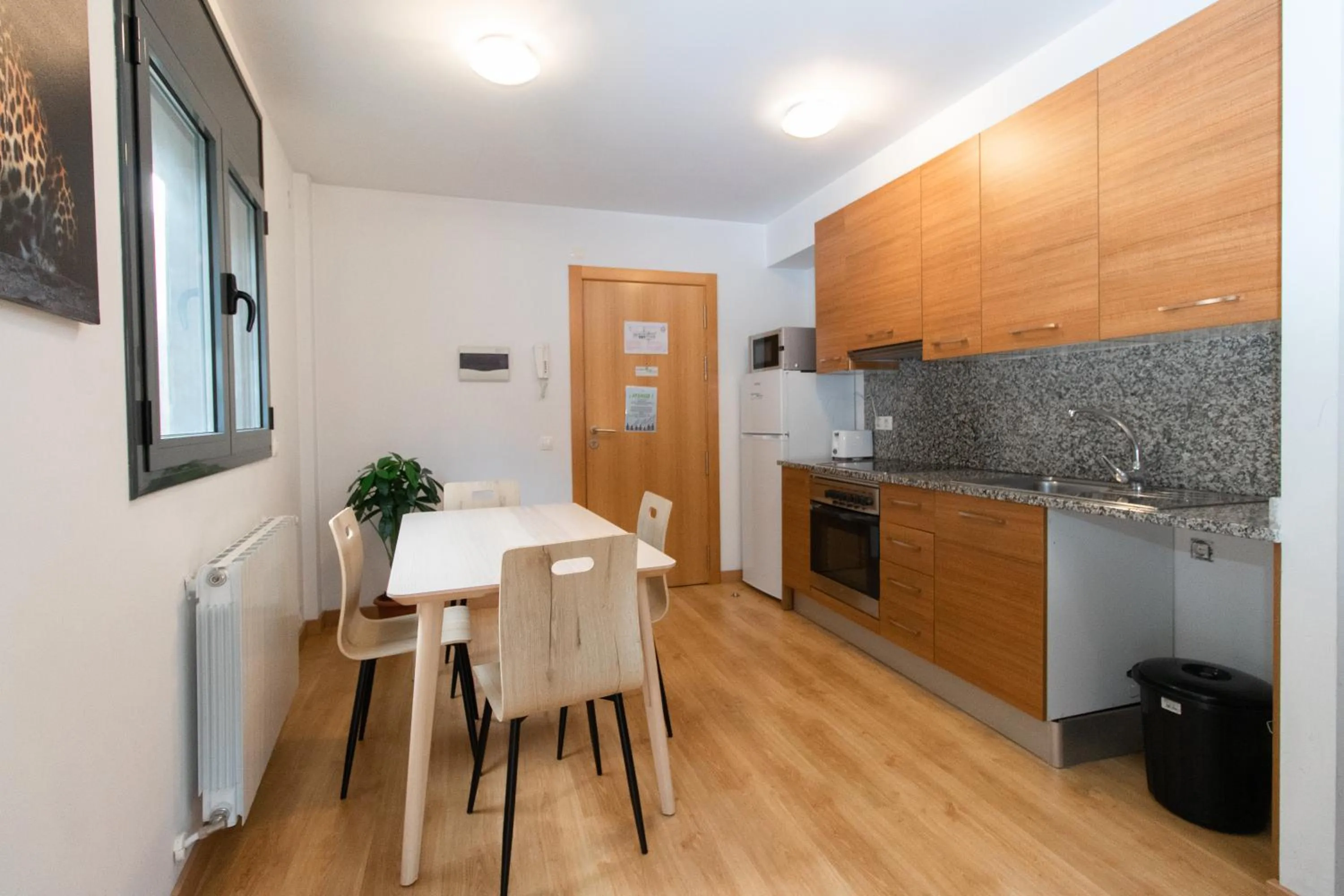 Kitchen or kitchenette in Apartamentos Canillo 3000