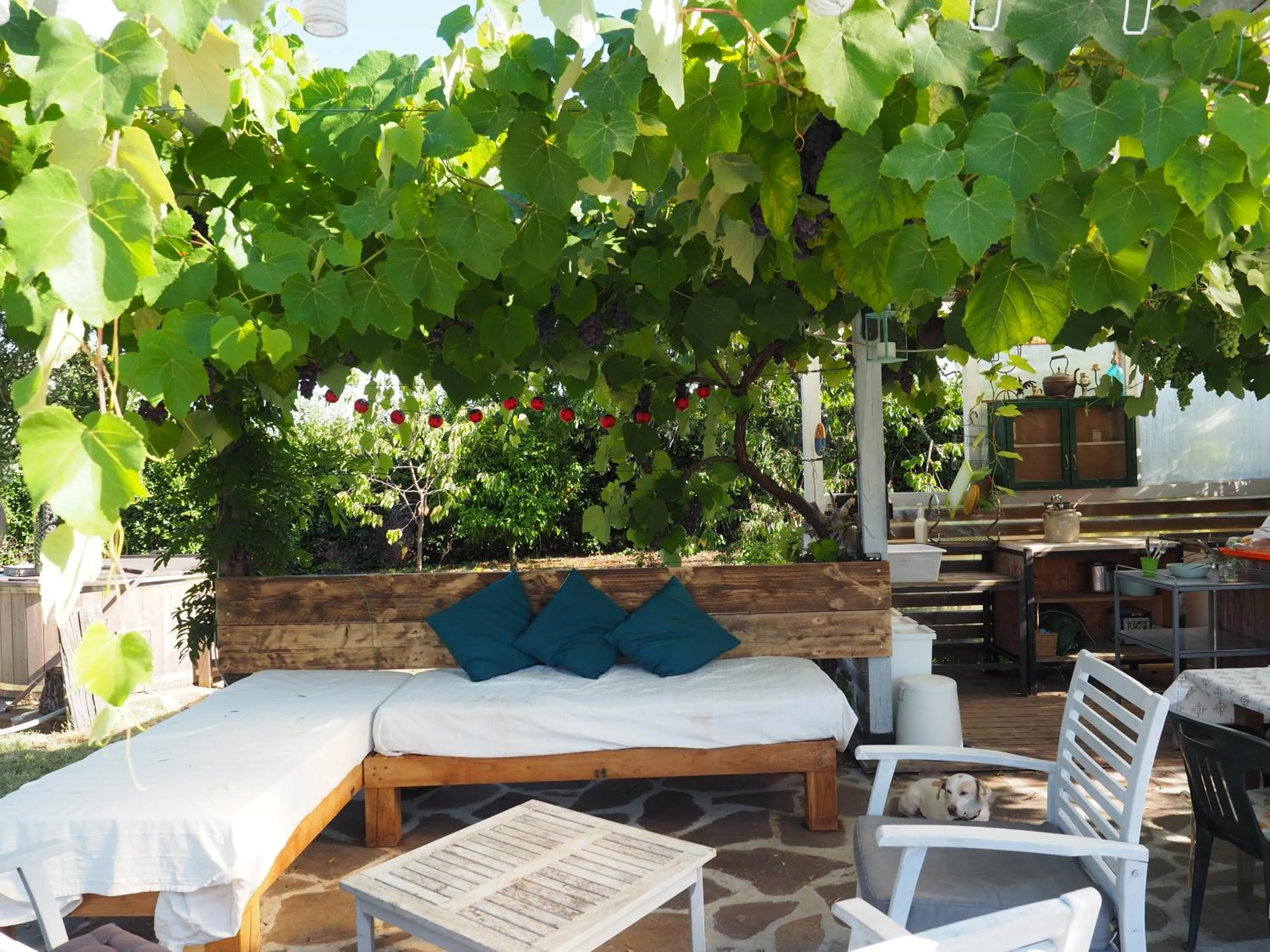 Chez Raz B&B