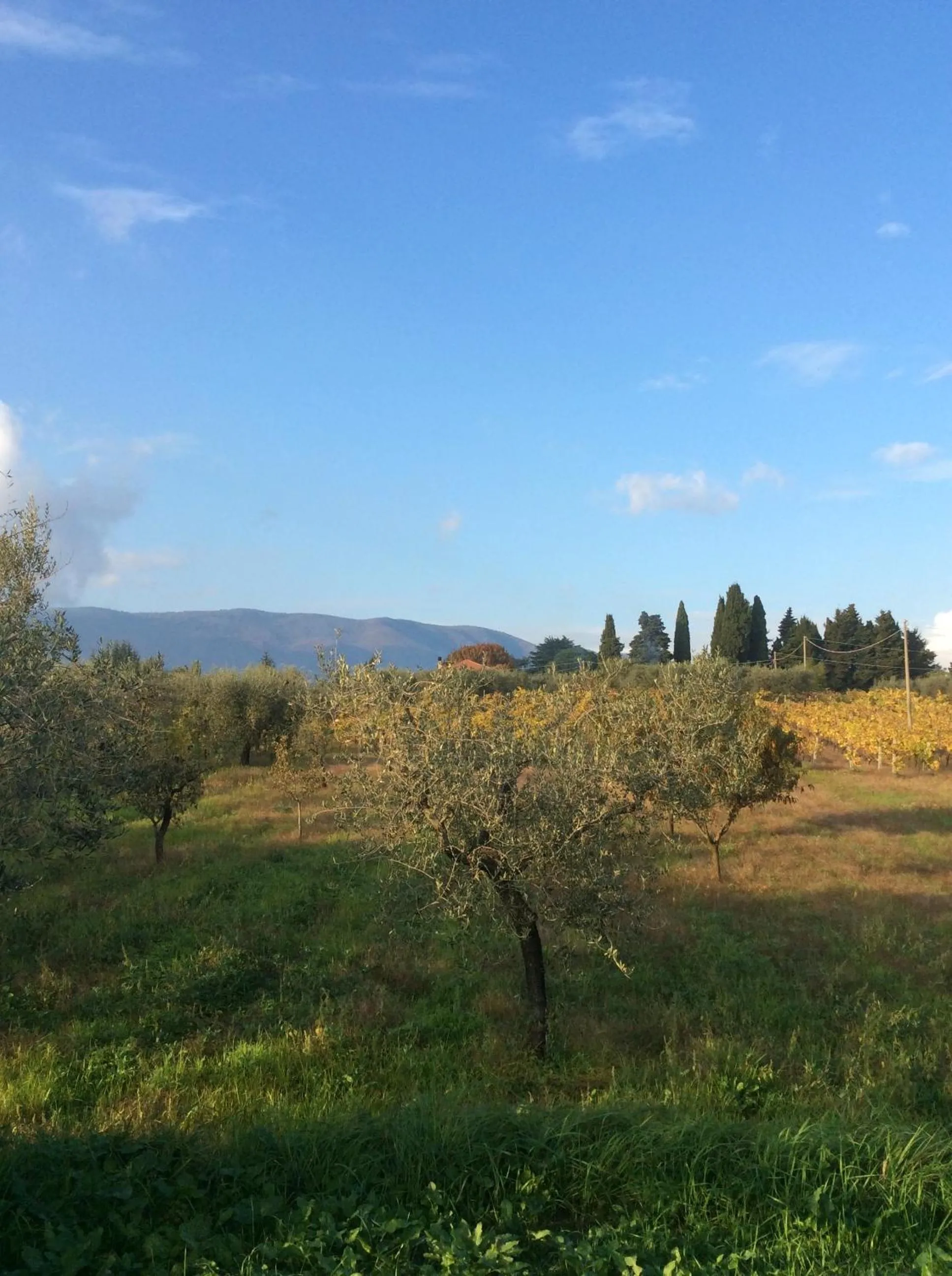 Natural landscape in Chez Raz B&B