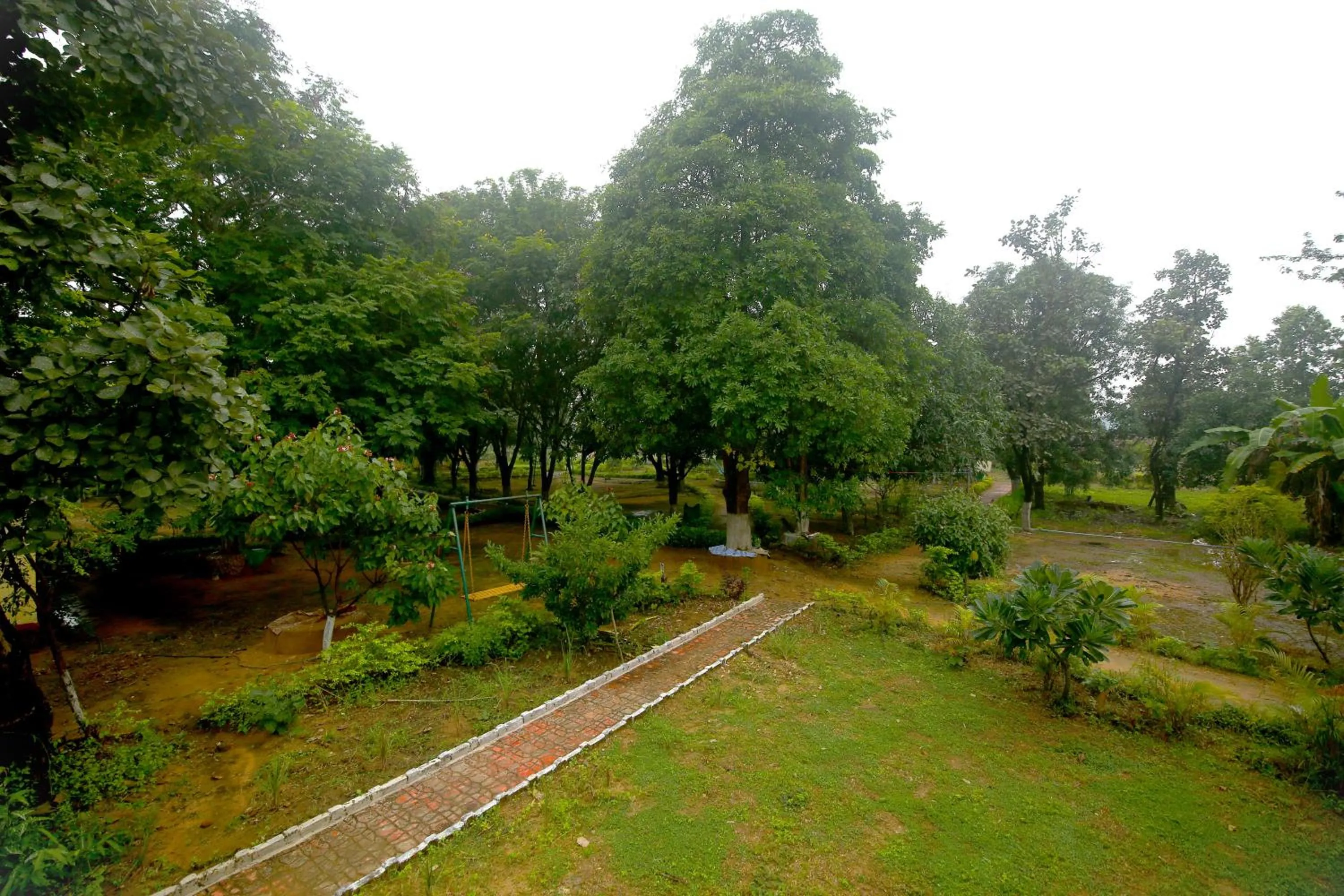 Day in Tribal Wood Resort