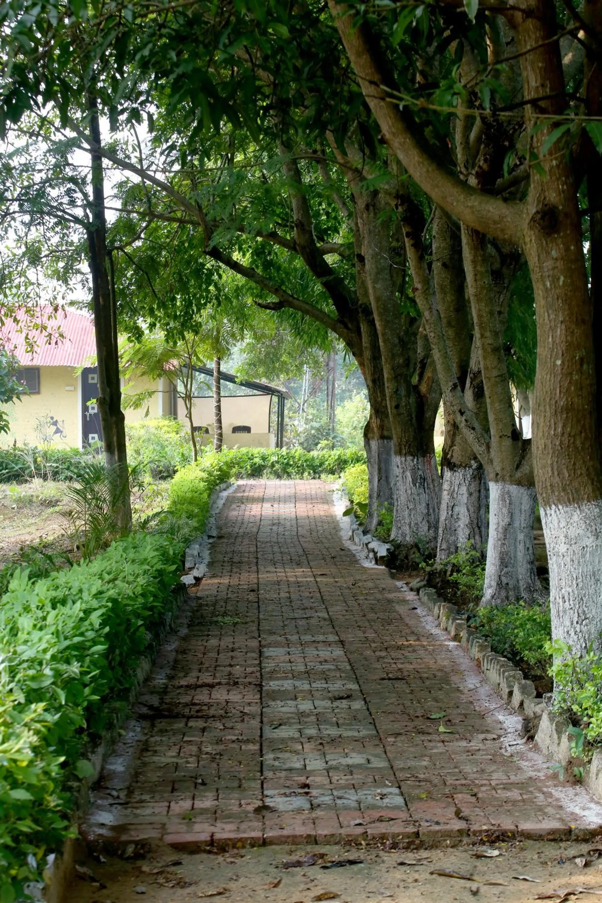 Garden in Tribal Wood Resort