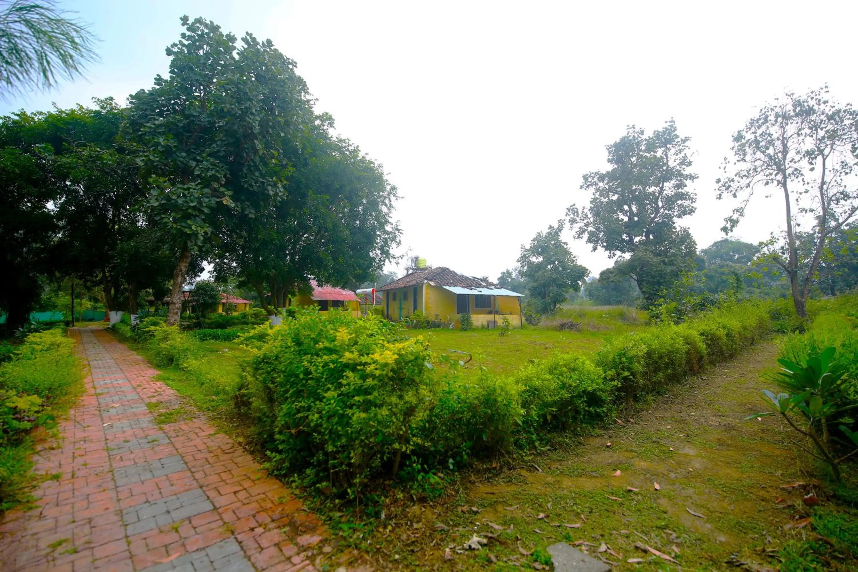 Garden in Tribal Wood Resort